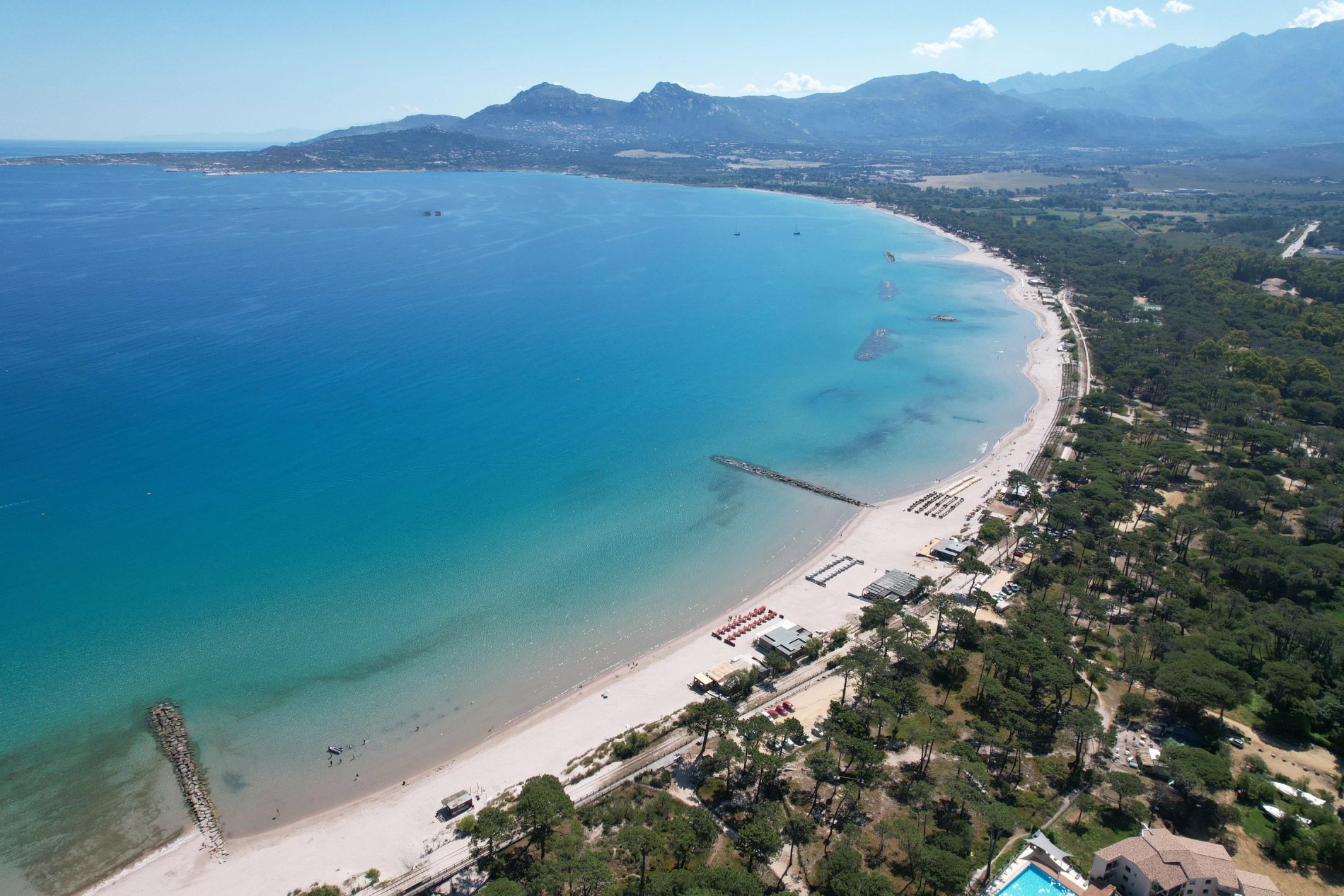 22f2da9b-42d5-4880-adca-46df9ac24540