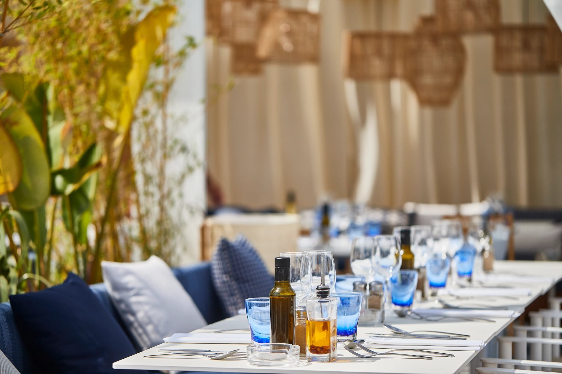 22f310b0-adb1-4e03-889f-df6e2d9ff226