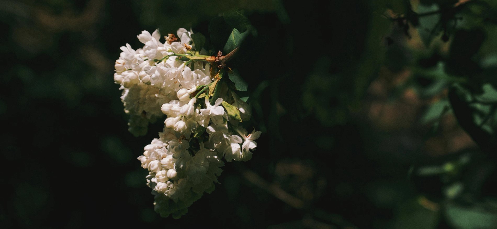 23f92e60-123d-417a-b12a-4398ee2240c6