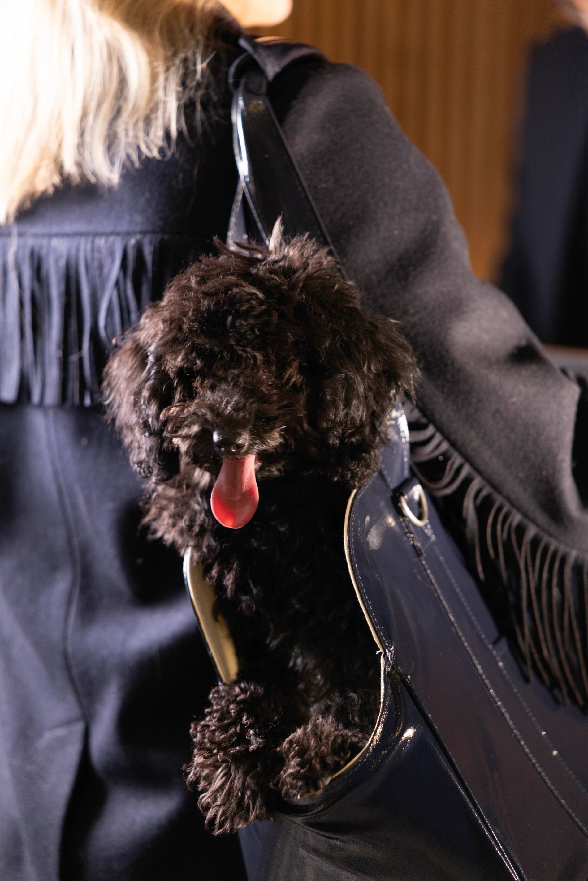 Hotel Filigrane | Pet-friendly