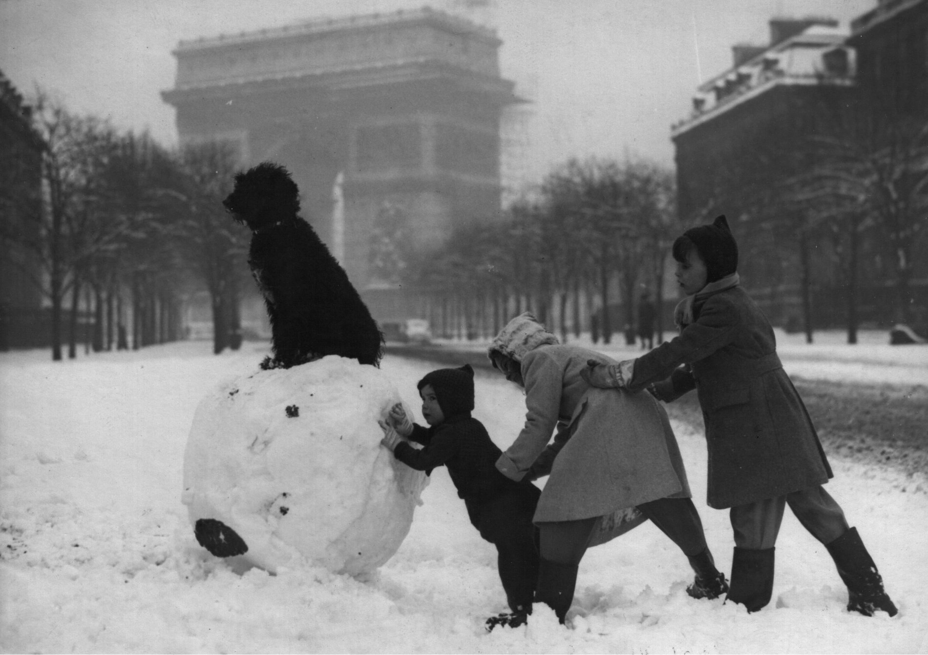 24b2d5ca-8541-4d85-8ffe-053f359ff744