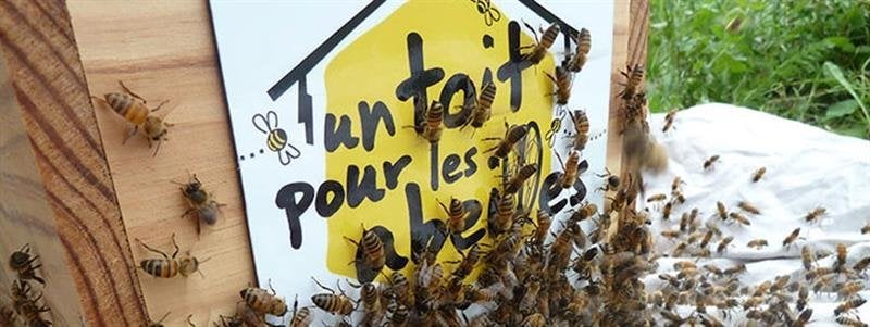 Panneau jaune avec le texte "Un toit pour les abeilles" et des abeilles autour, peut-être à l'Hôtel VOCO Paris Montparnasse.