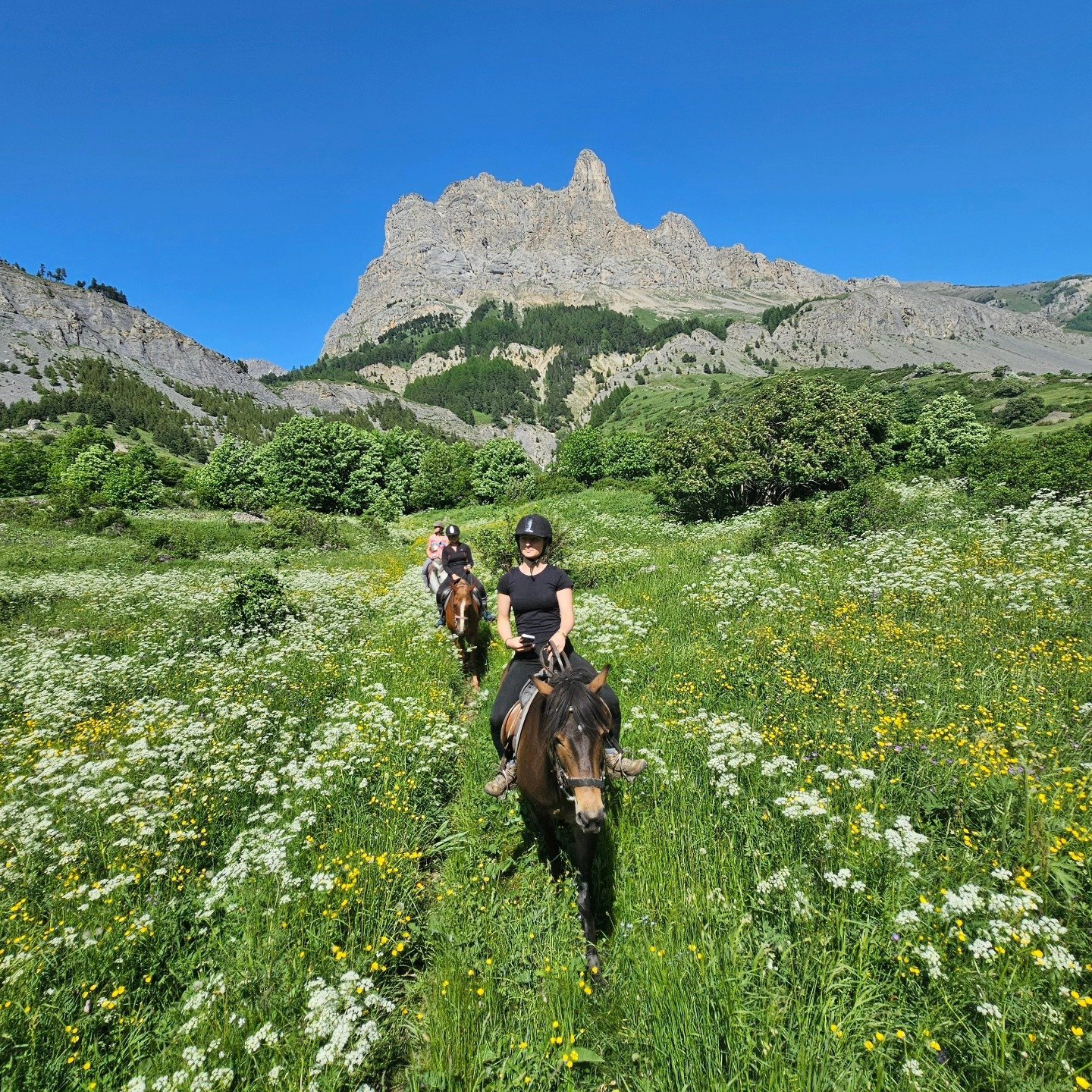 Salles de séminaires du Grand Aigle Hôtel & Spa en forme de réunion