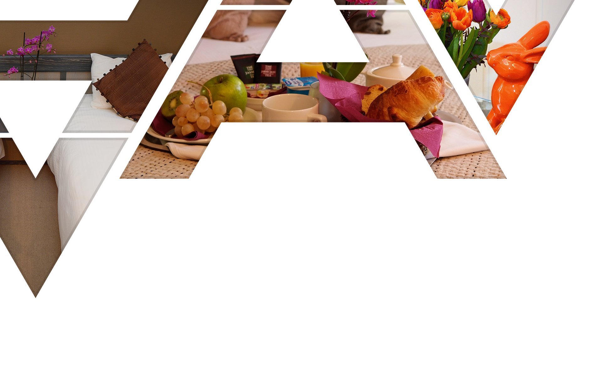 255ecdcf-dfe6-4200-af63-acf8a6941d99