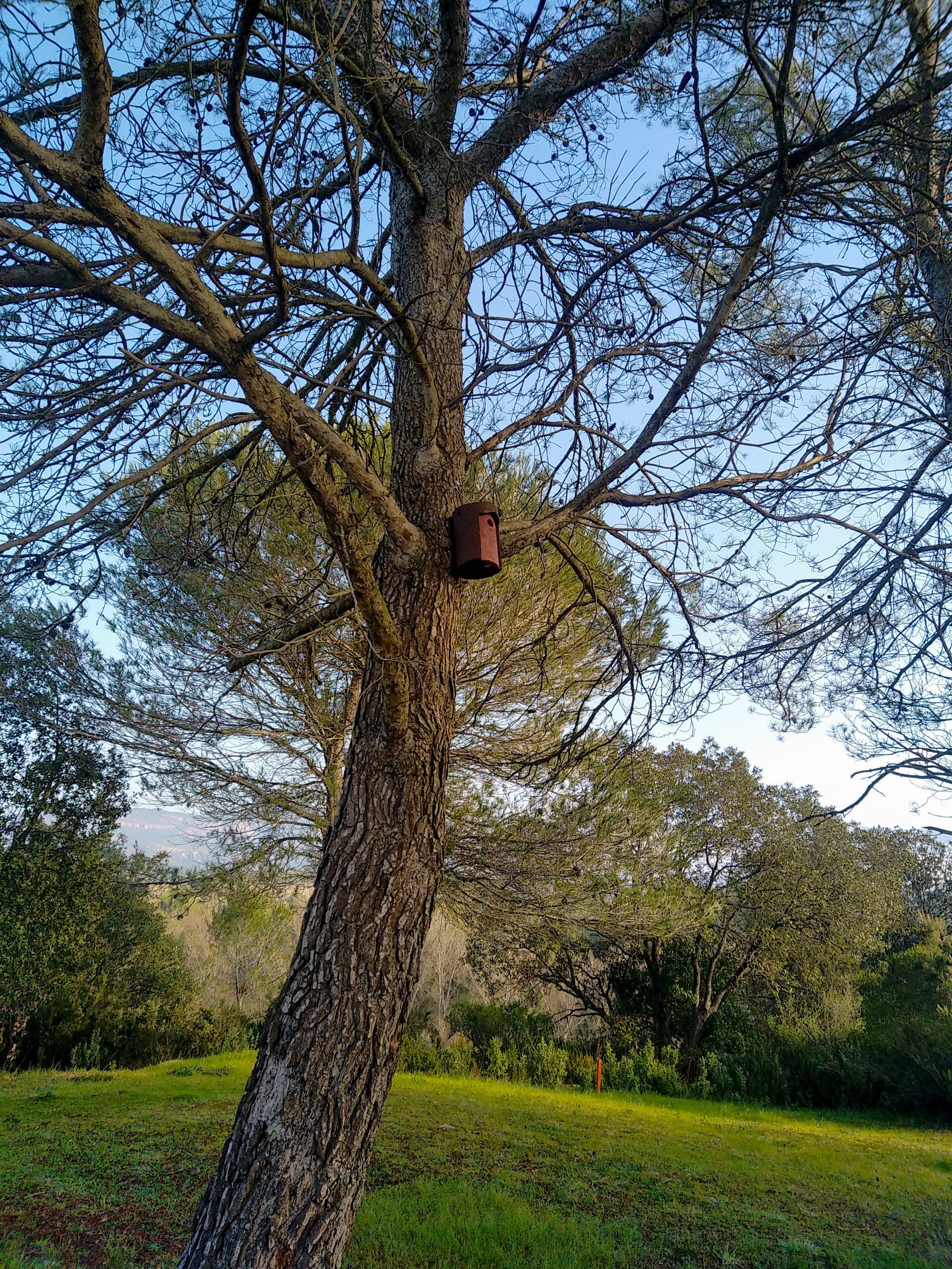 26484546-10f4-45c7-8dce-77aa936cd246