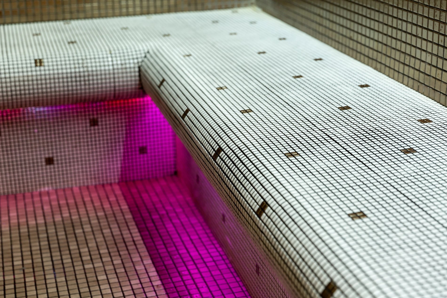 2683cee3-318f-4e0f-8694-c621d836cfe5