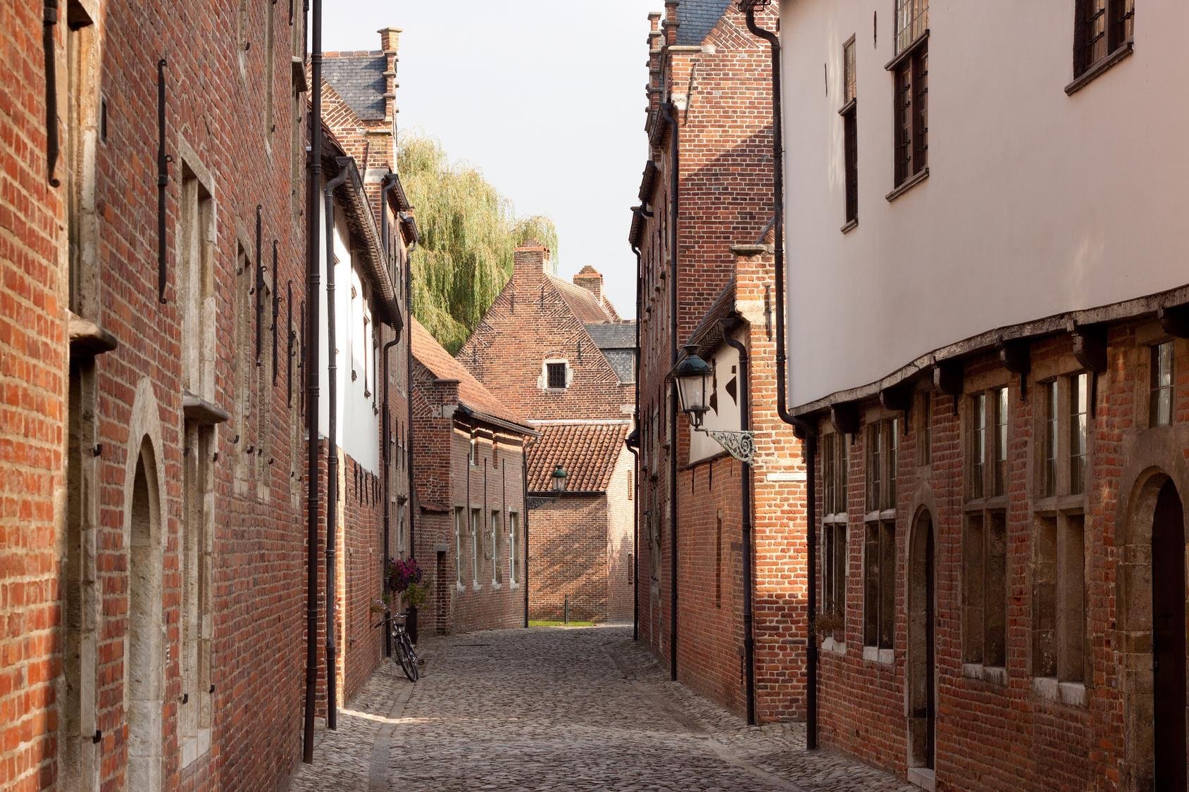 Sfeervolle historische straat met kasseien nabij het Martin's Klooster in Leuven.