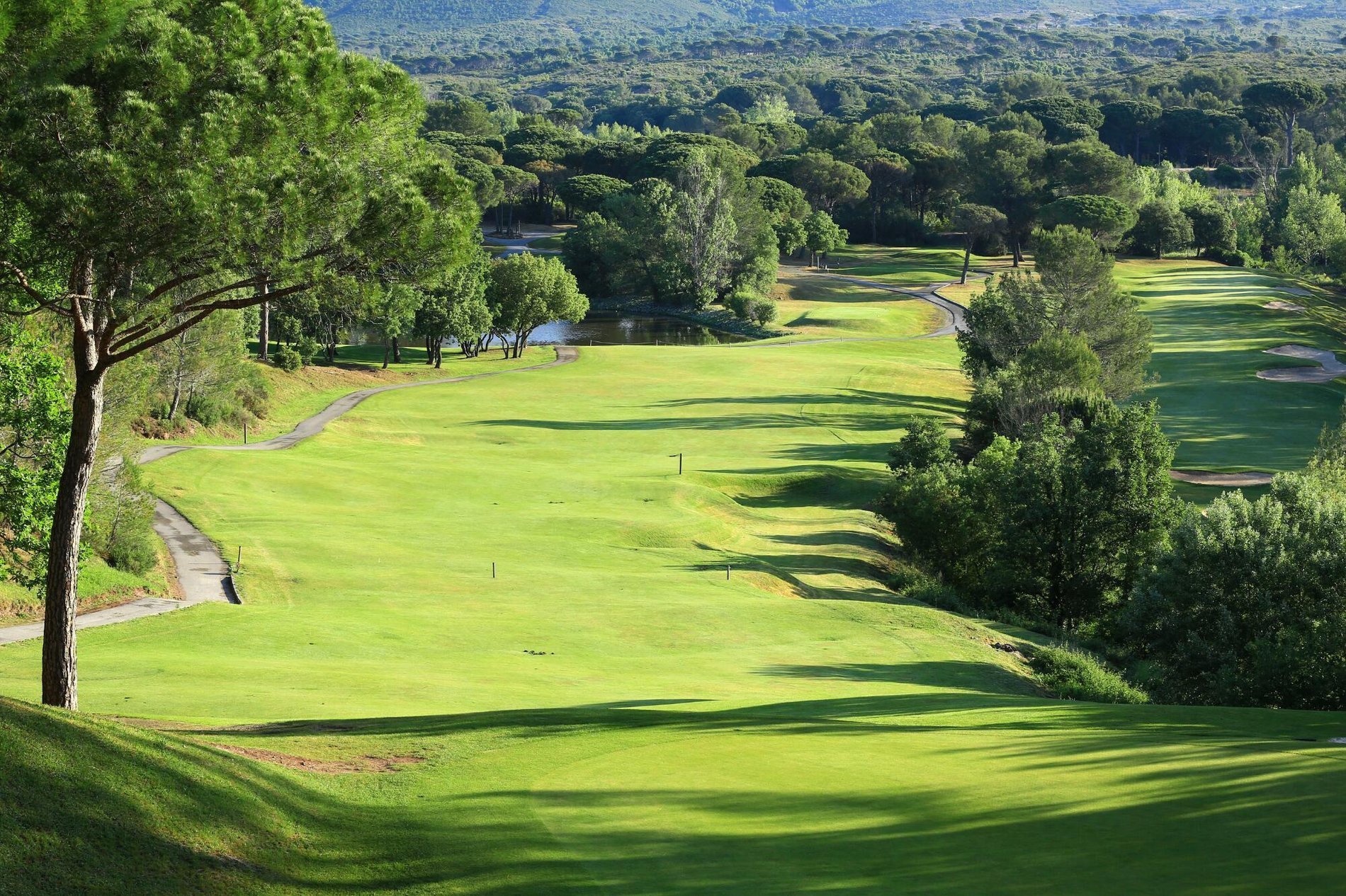 27f587f3-fd54-49c2-8d56-badcfc2cc93a