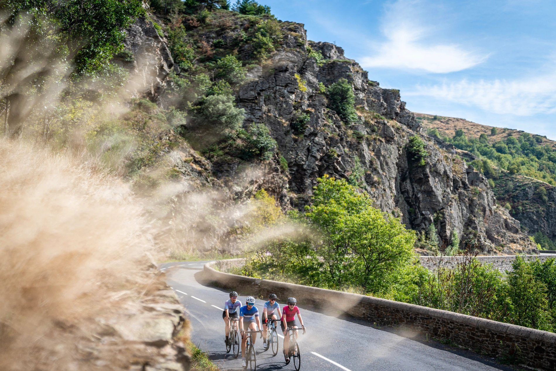 289979db-935d-44c7-bb50-e28a0ad3861a