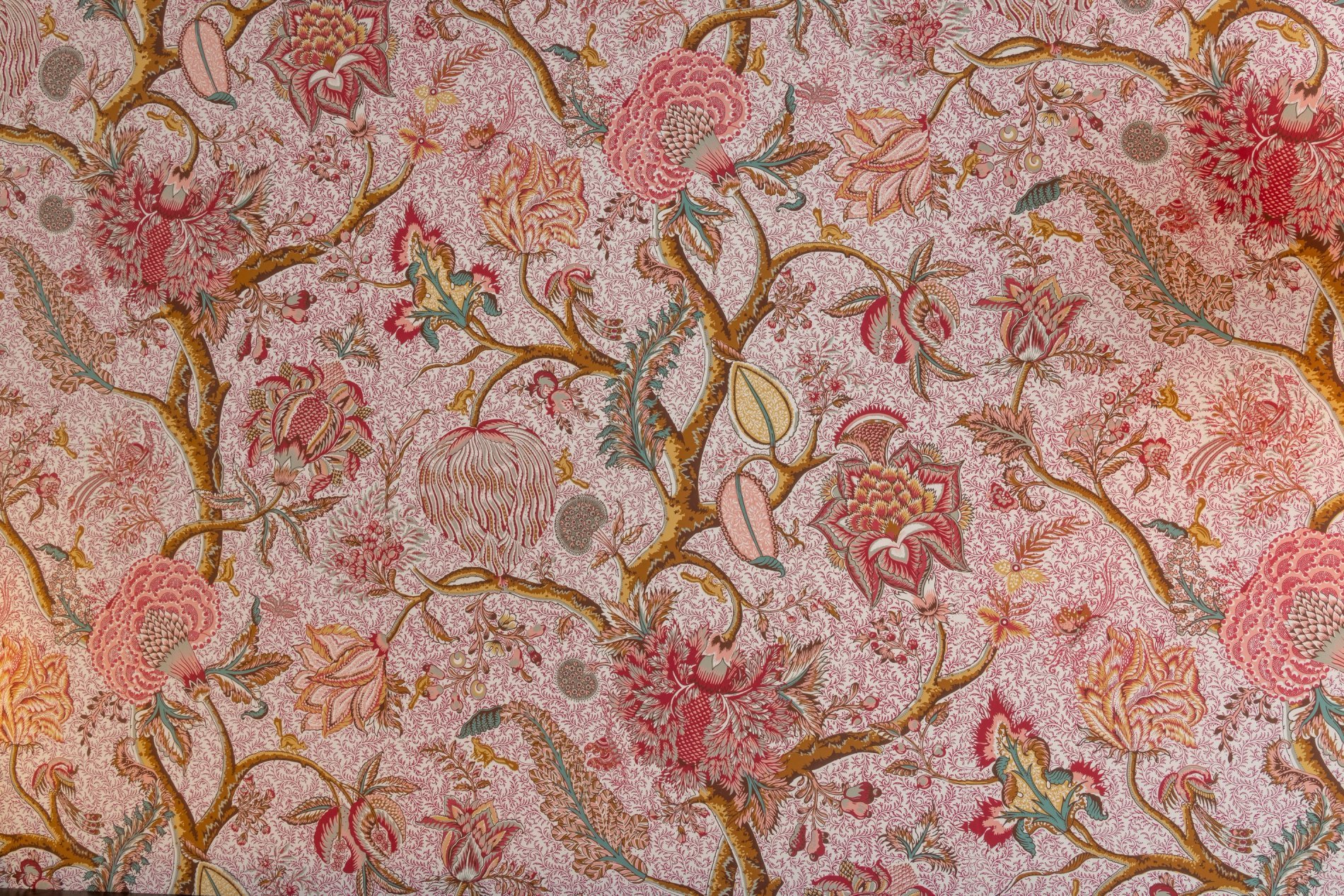 Hôtel Fior d'Aliza Chambre Simple