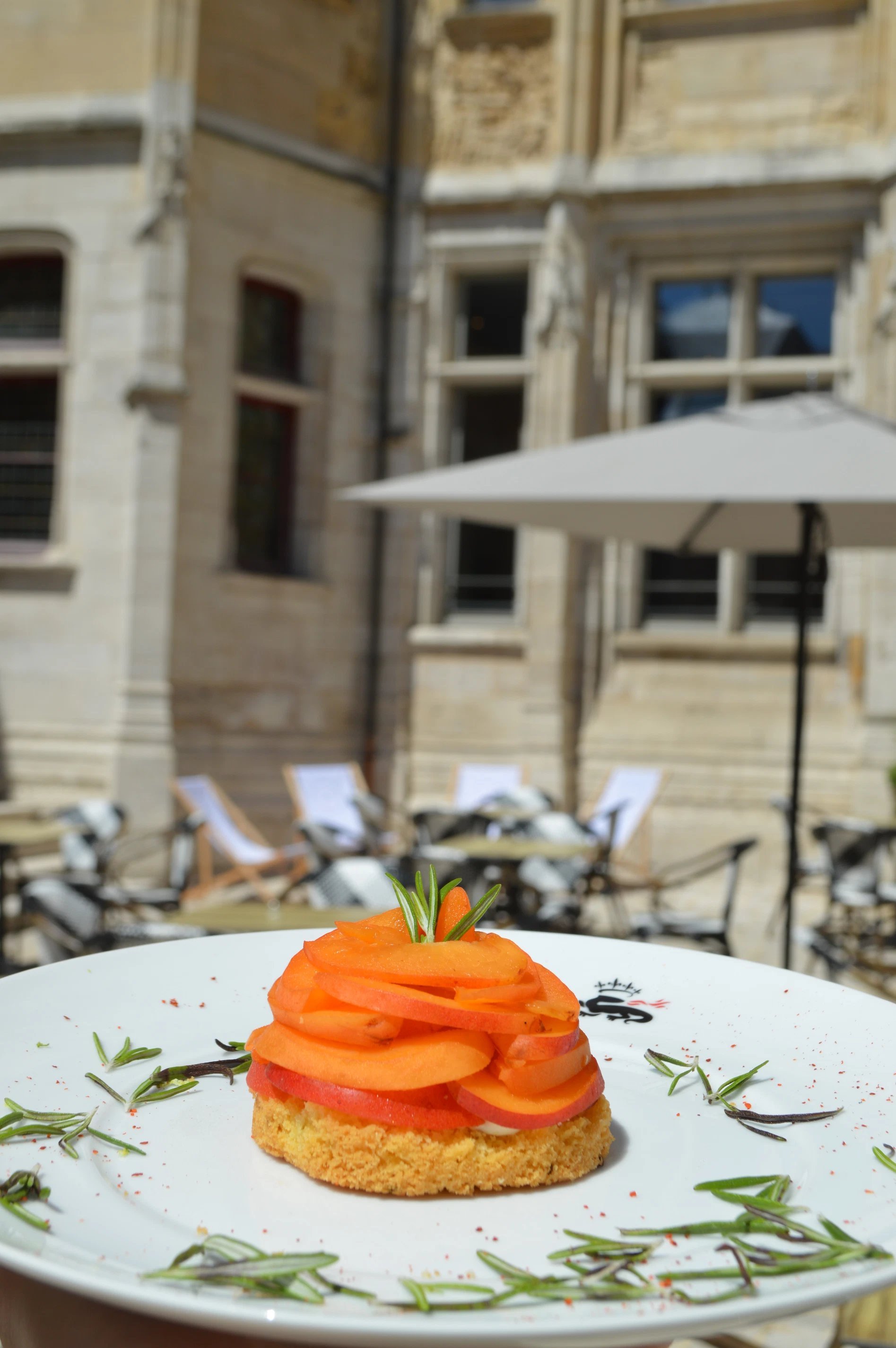 29c35502-515e-4e20-8b04-9cc6ce050849