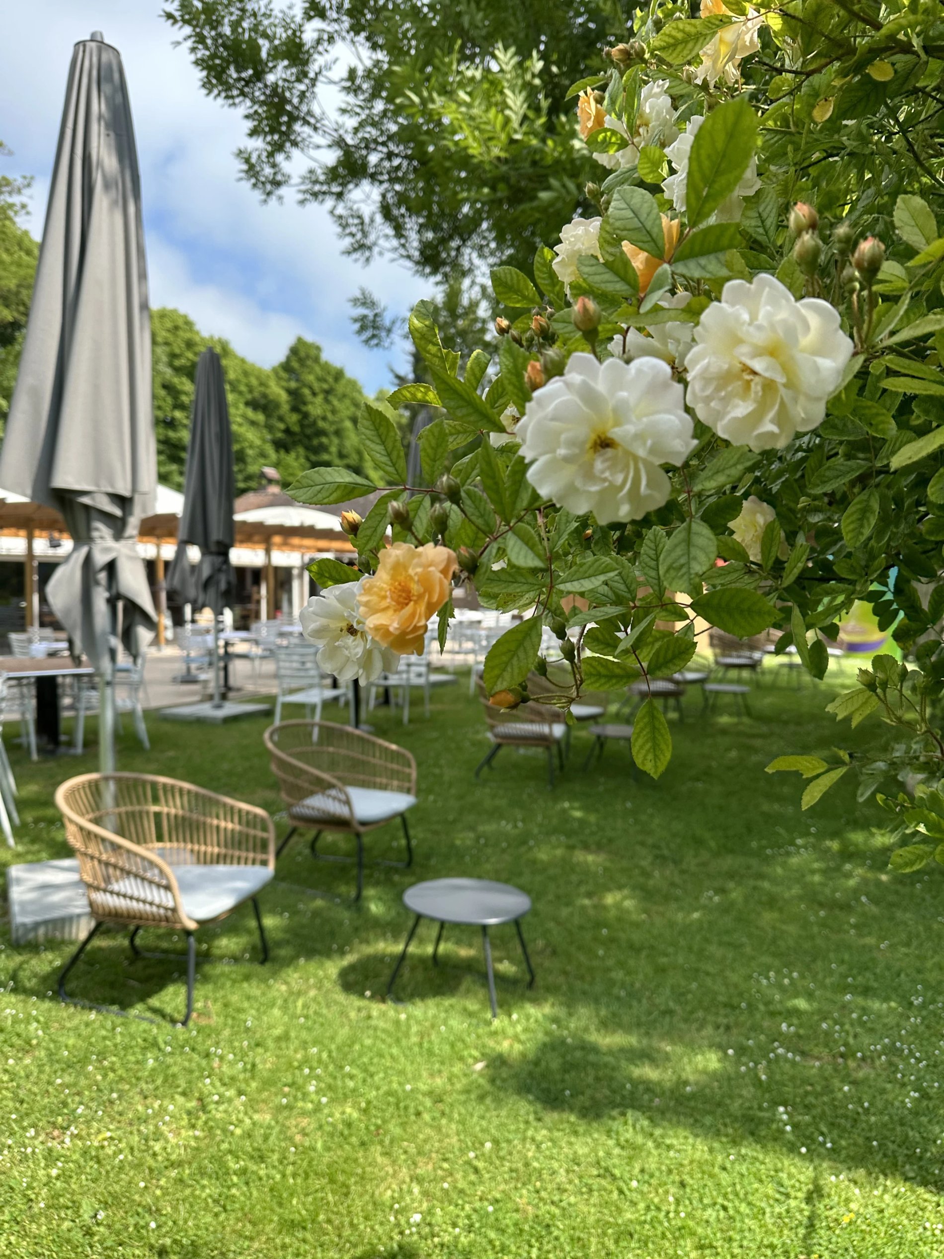 2a994947-fdd0-4533-addc-f4bceaecbc4f