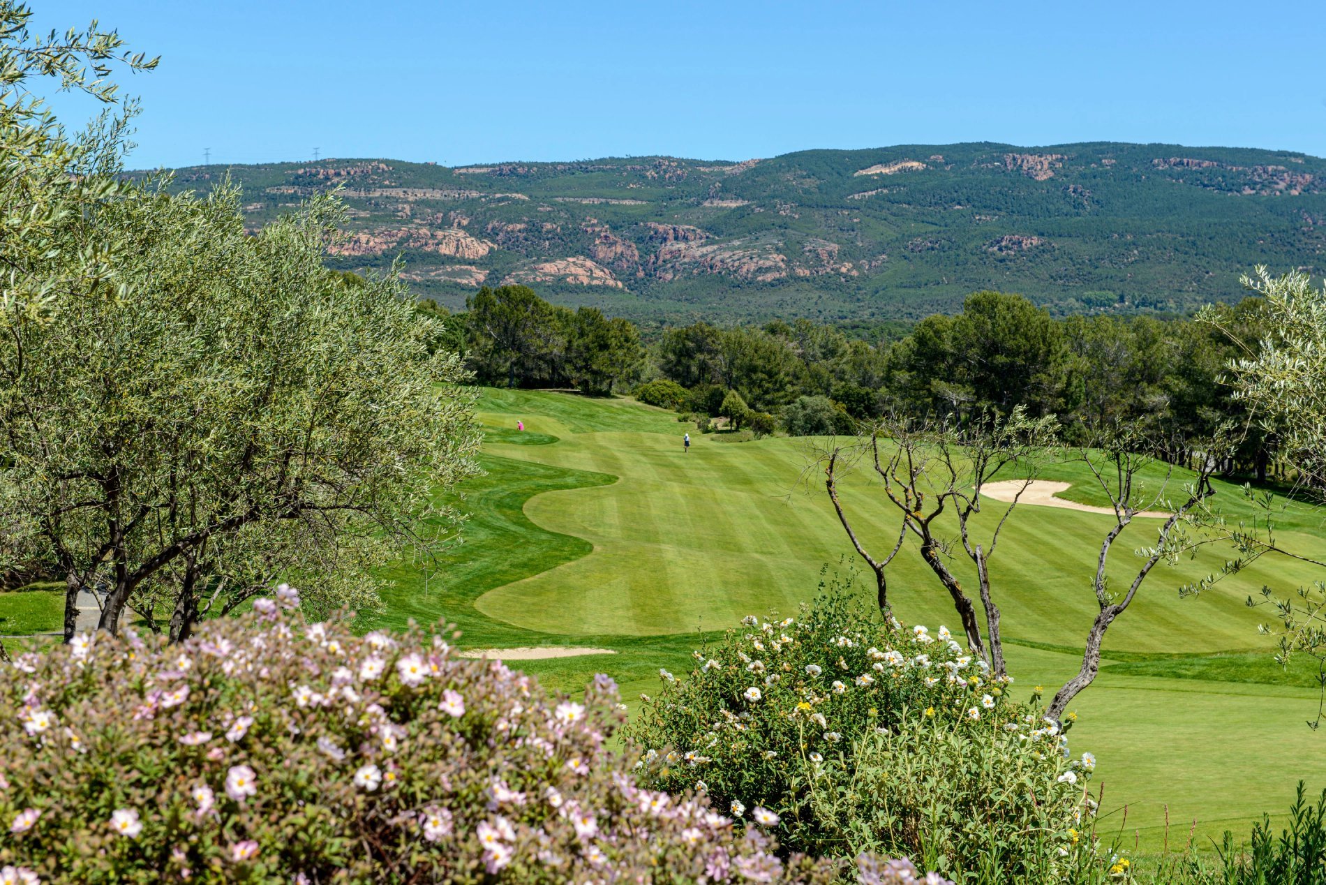 2b094c1a-e5ed-4170-8337-4bbdda2c02e1