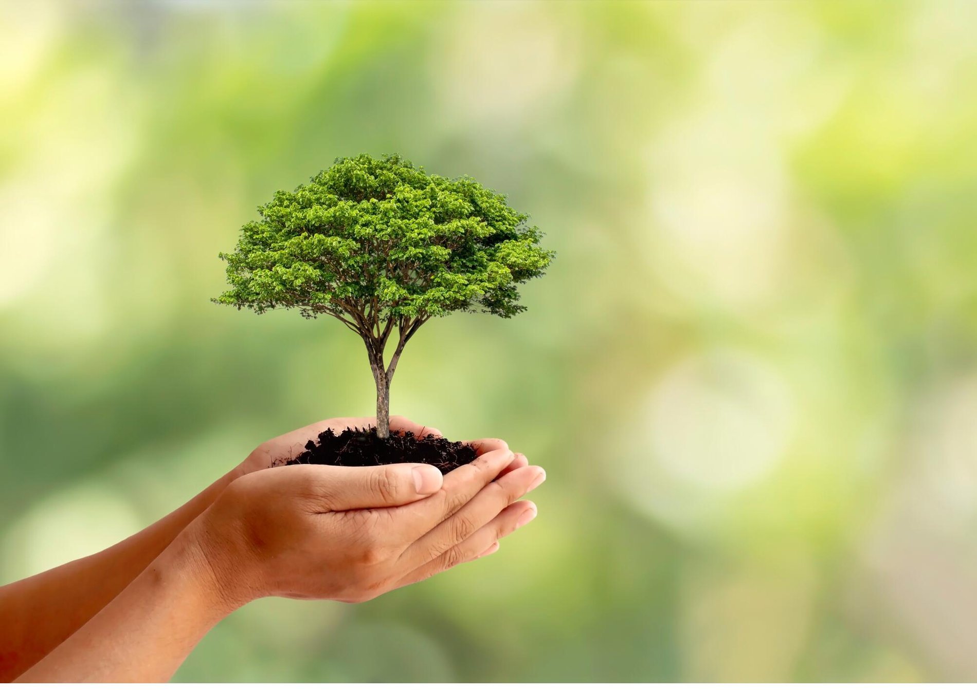 2cdfea19-69e3-46f9-b9d5-788c067773ab