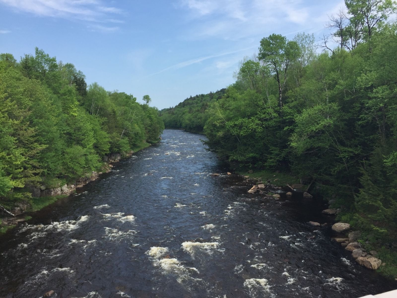 2d11c546-abf5-42f1-a648-a0baef8315d3