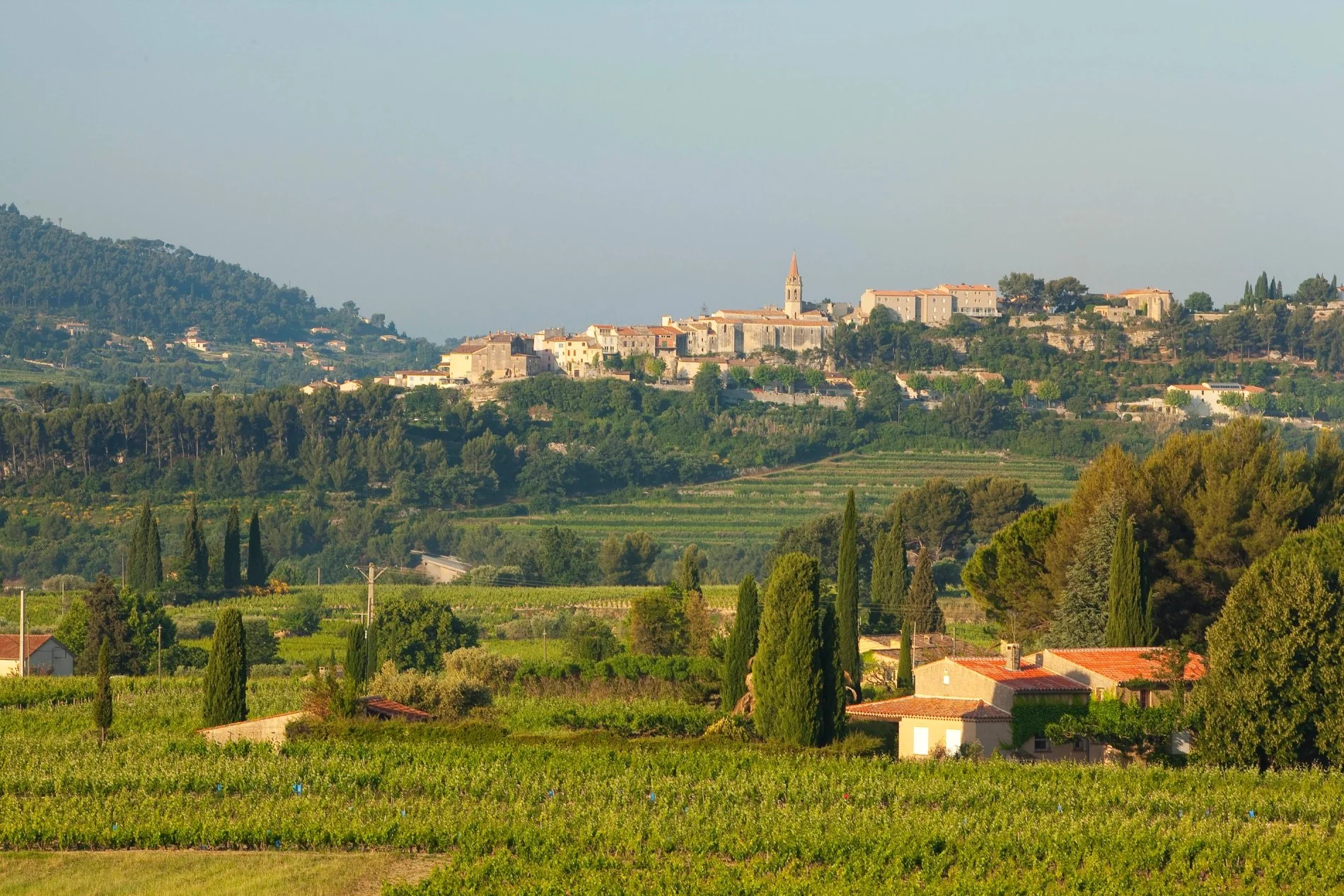 Vue sur le village de La Cadière-d’Azur et les vignes environnantes depuis la Maison Bérard.