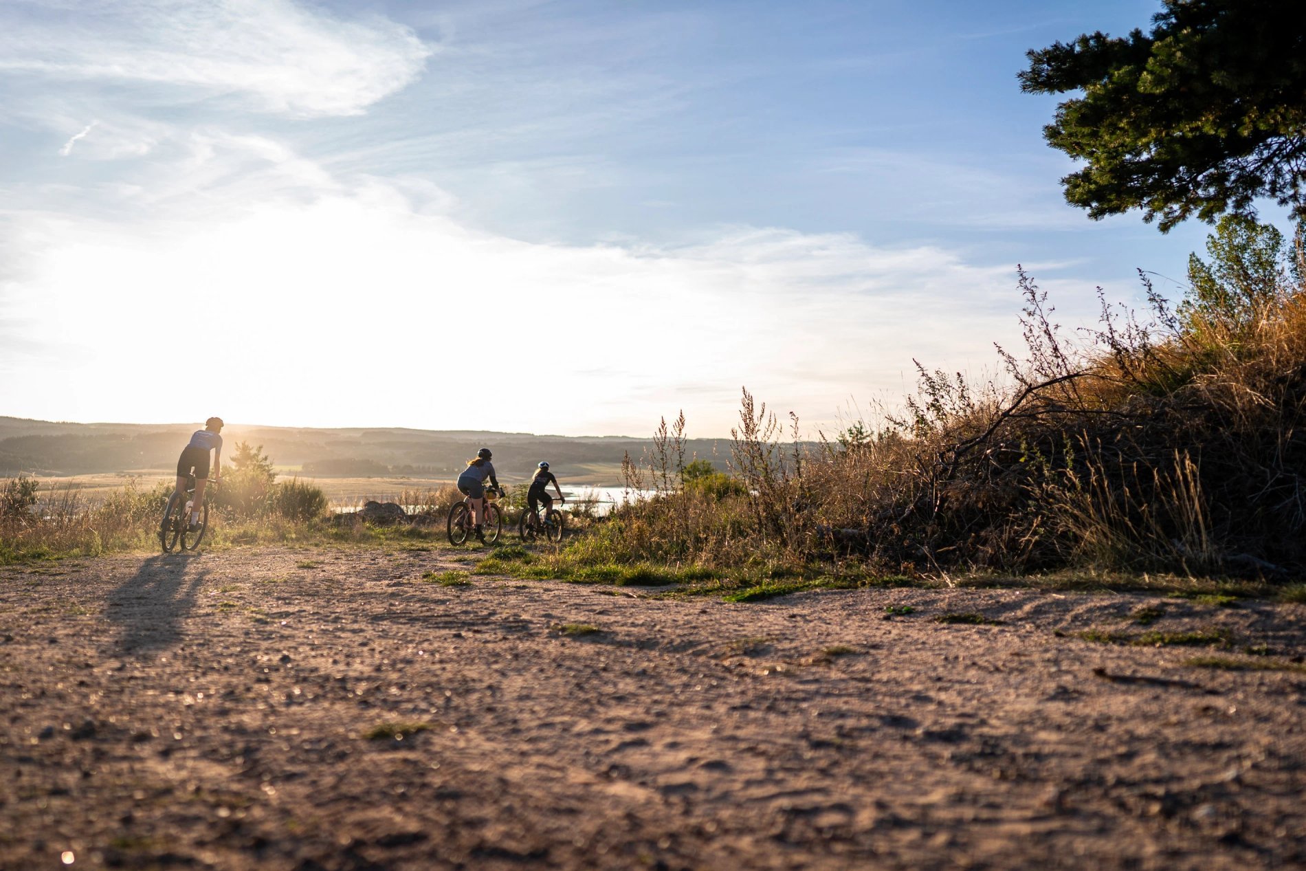 2ec5e801-8b1e-4ae9-85ab-6d8cbb9b837d