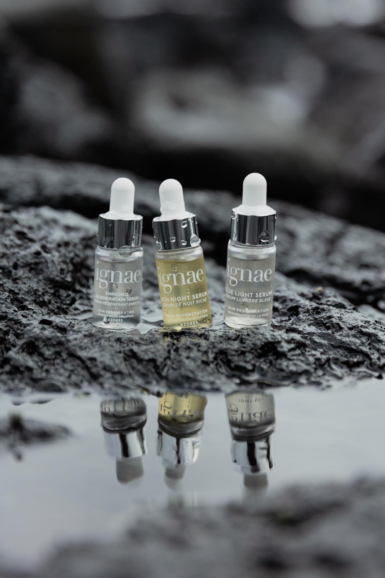 31370b0c-954b-41a0-8ba5-396ab5484009