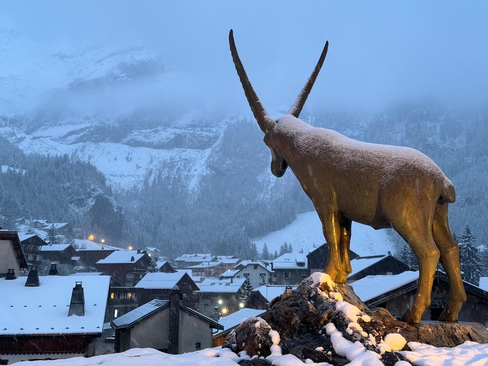 31c5d7b8-4bd6-4c8d-960c-2b1f997bdada