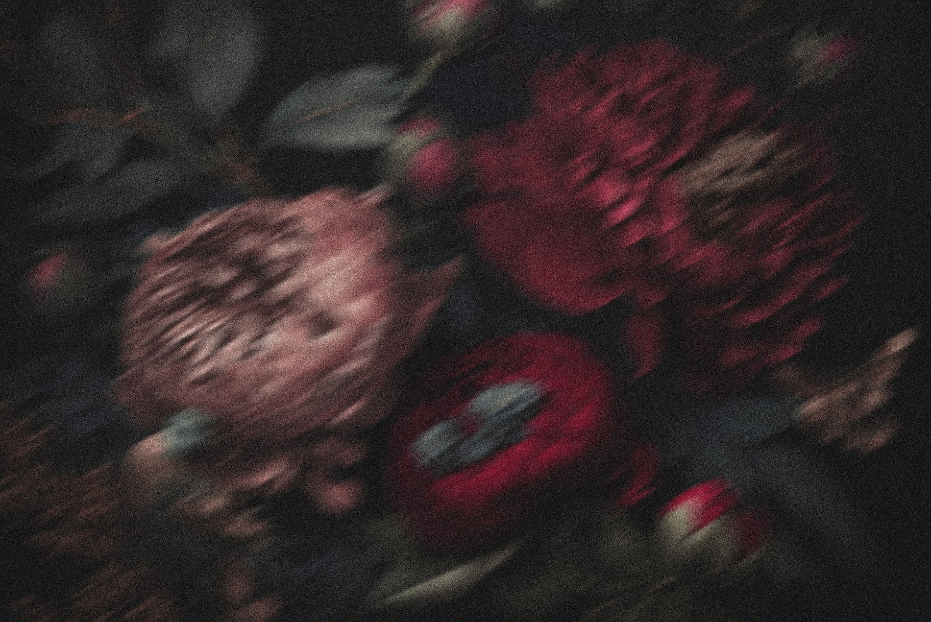 Maison Albar Amoure | Eléments graphiques