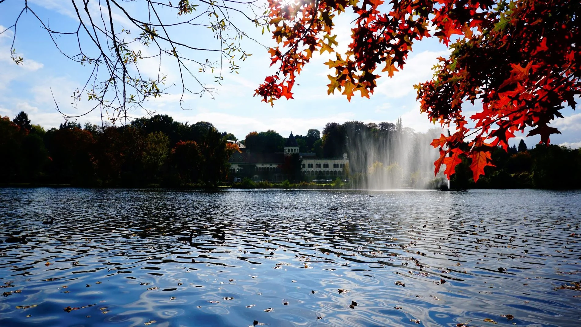 Vue sur le lac avec fontaine entouré d’arbres aux couleurs d’automne.