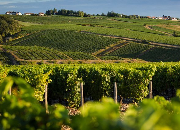 3458cc88-55d1-45a6-85ef-e01a745de7d3