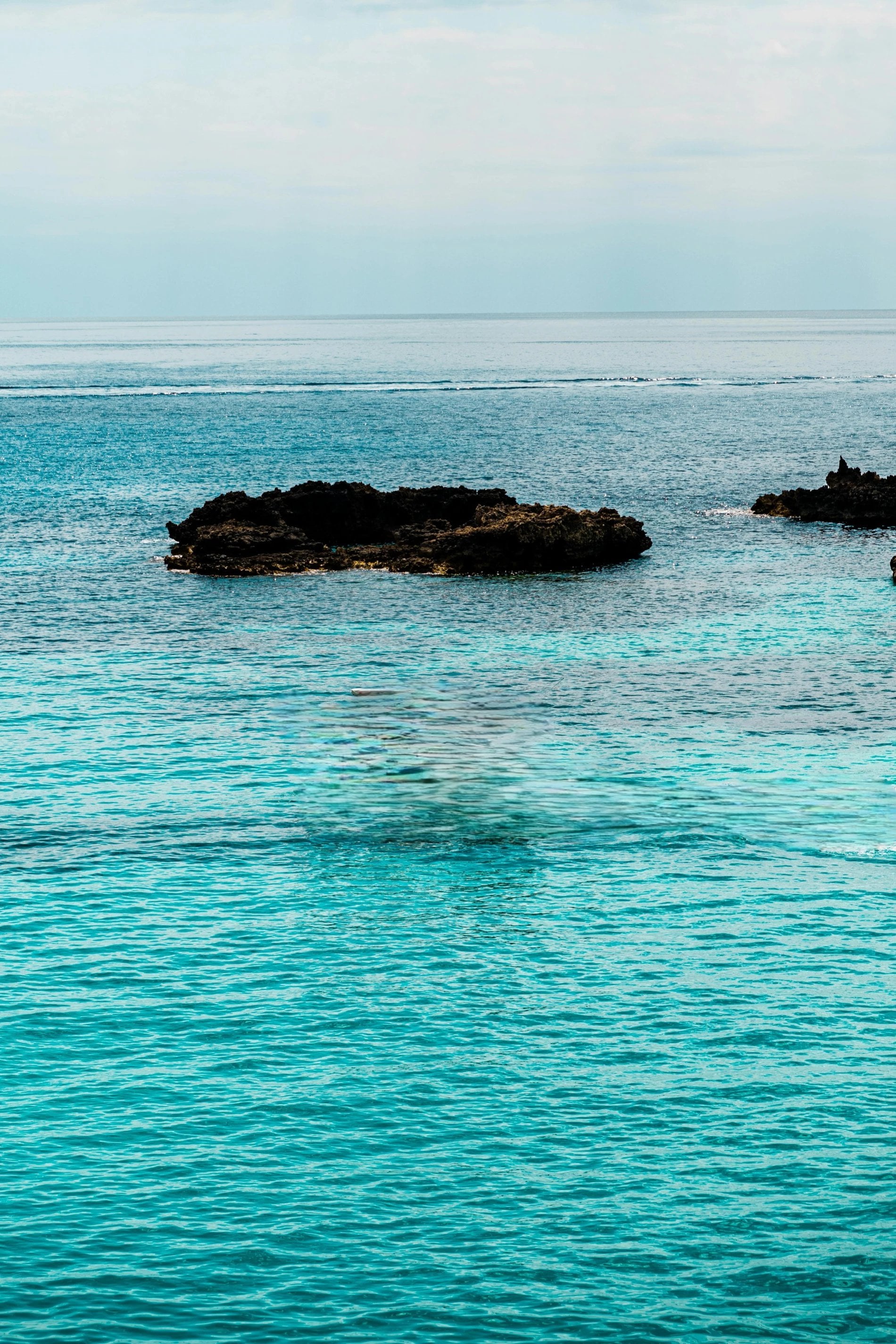 35148c27-75b9-4181-bdd0-1a3fc6e4ab6f