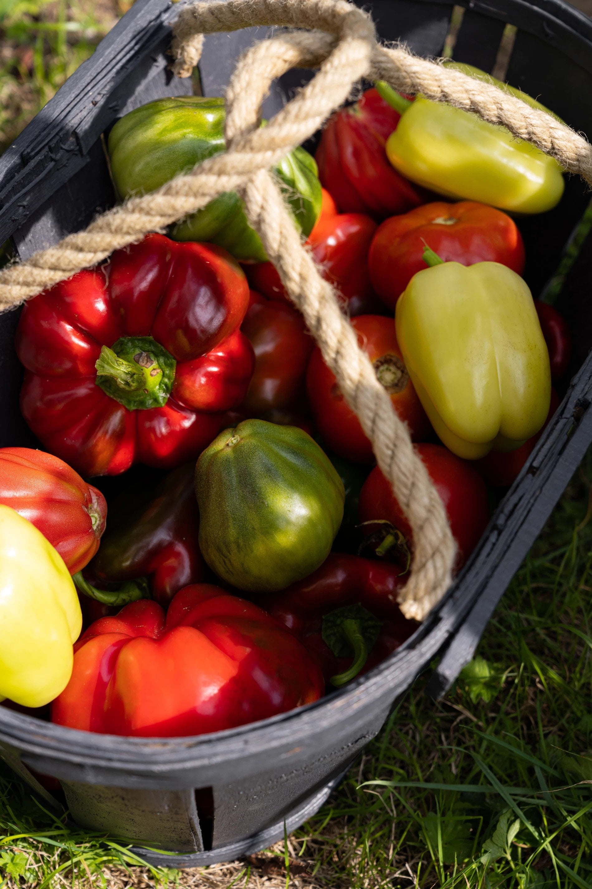 Restaurant Odette, l'Auberge Urbaine cave à vin