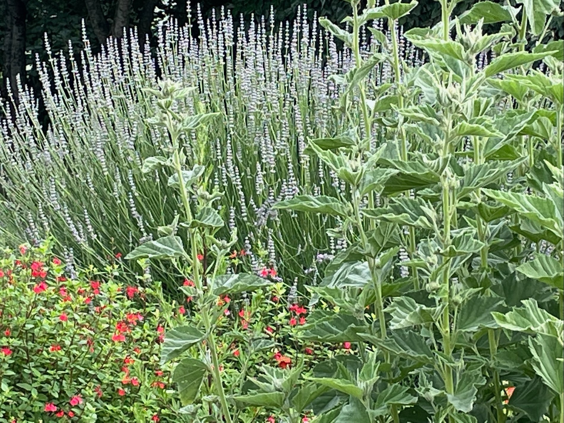 385b1acd-658a-4a02-a0fe-0e2fe60961f1