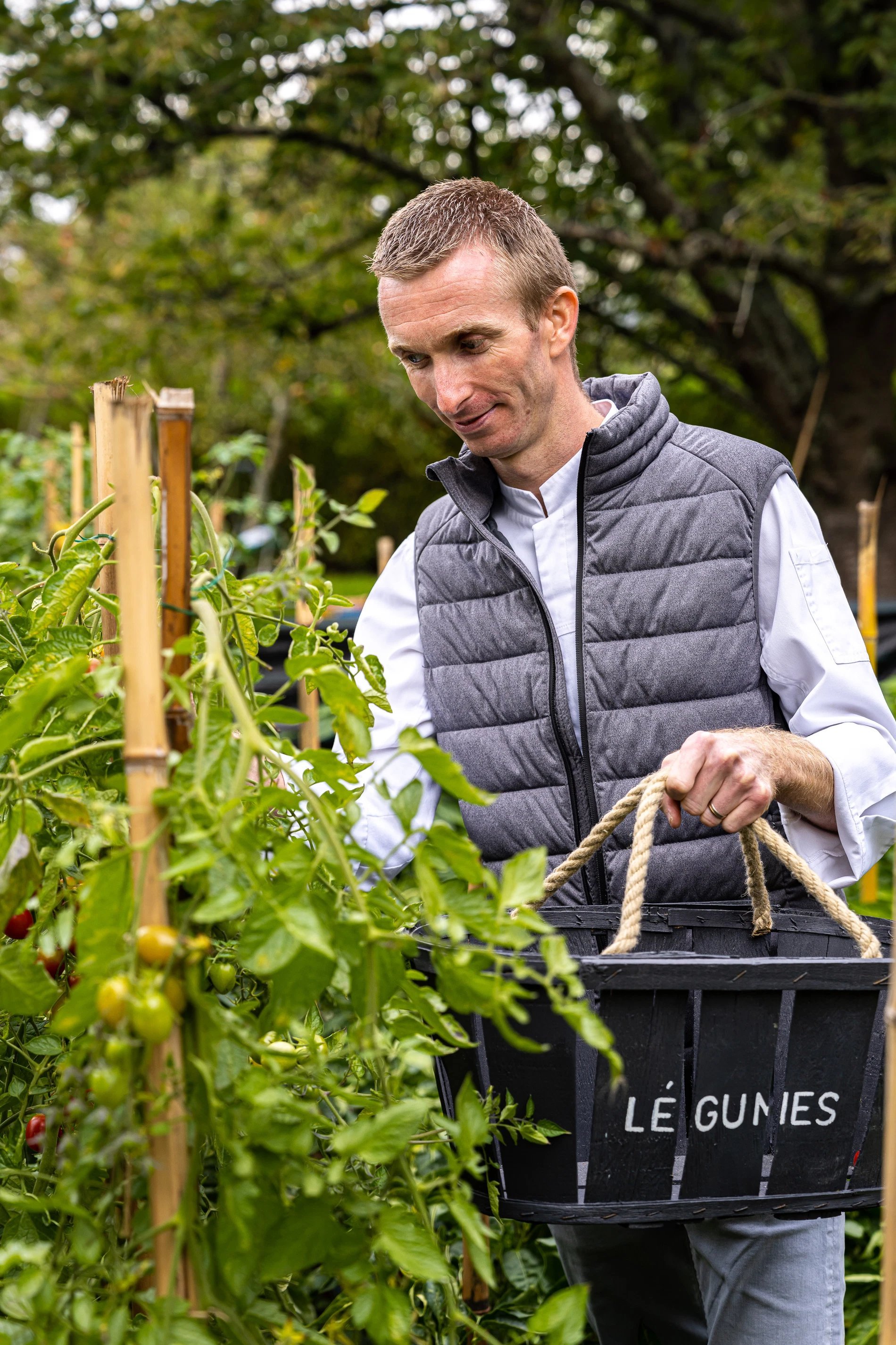 38b48949-df68-4b72-823d-22a3d1014ab1