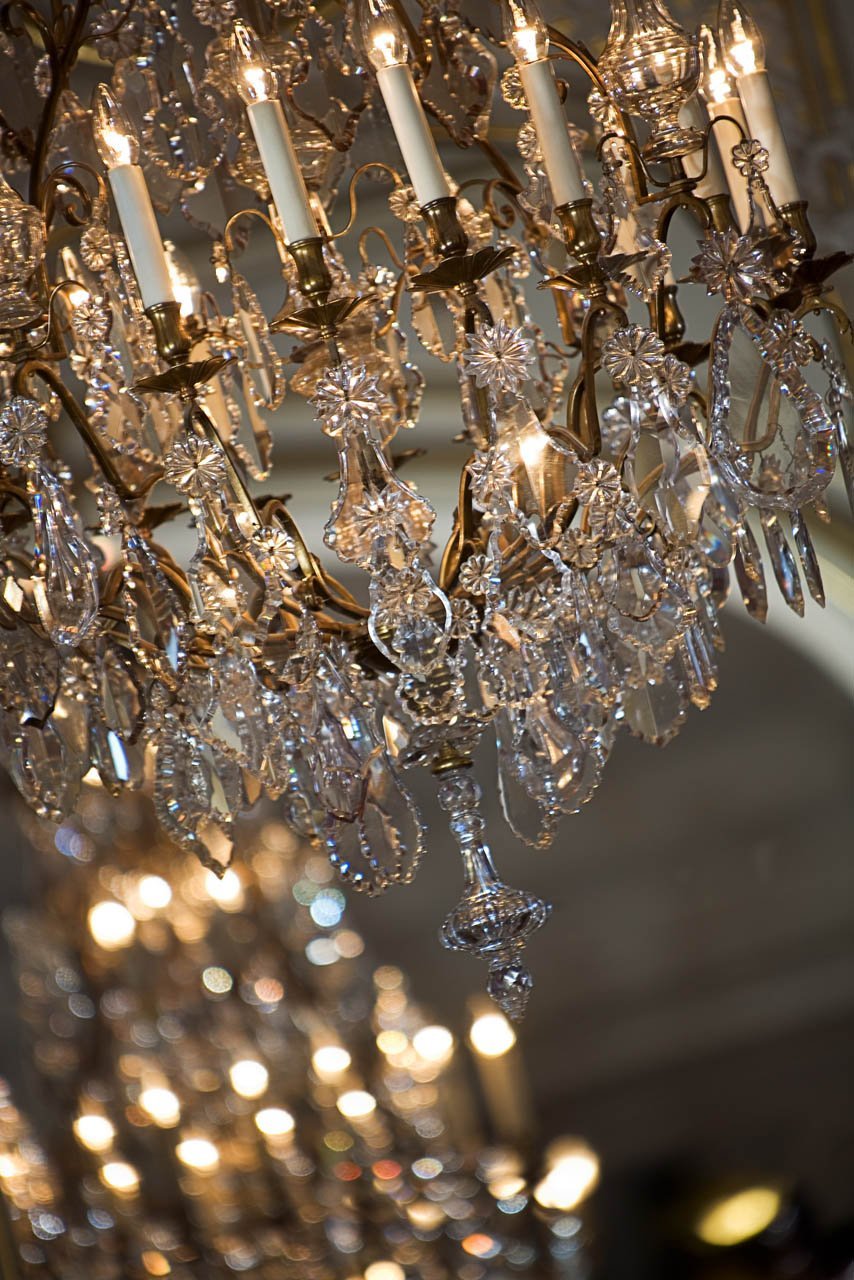 39ec1e1c-08fd-4e8f-af90-325b77dffd4c