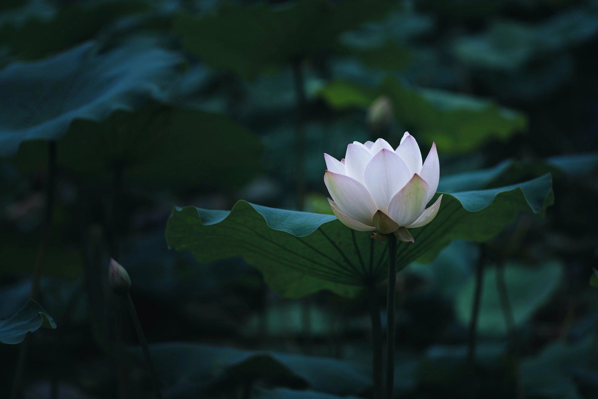 3a585a05-609f-4d39-bbf4-9225b75ff370