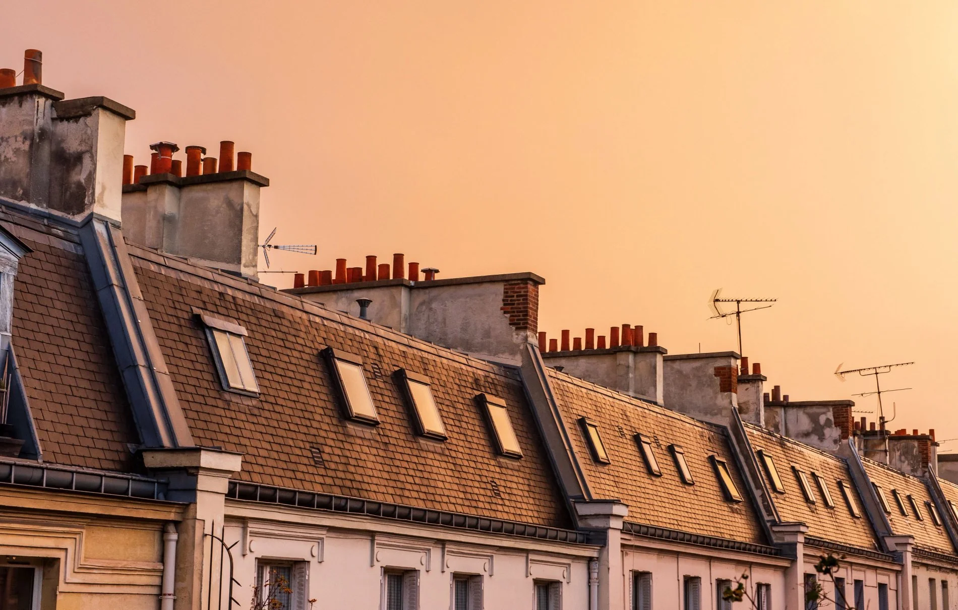 3a8b9d10-33e3-44ff-93b3-2ad872d5ee2f