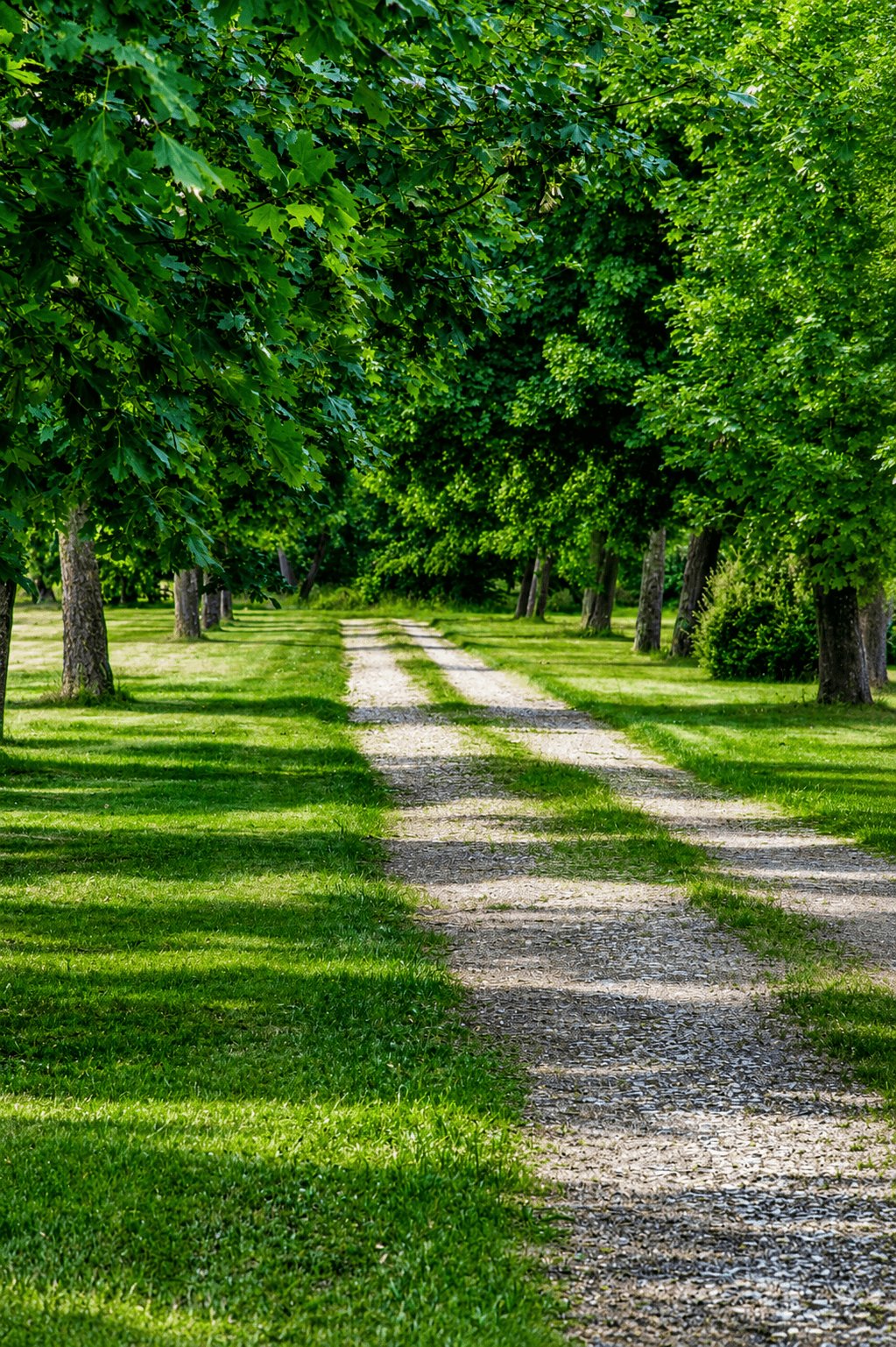 Domaine des roches, 