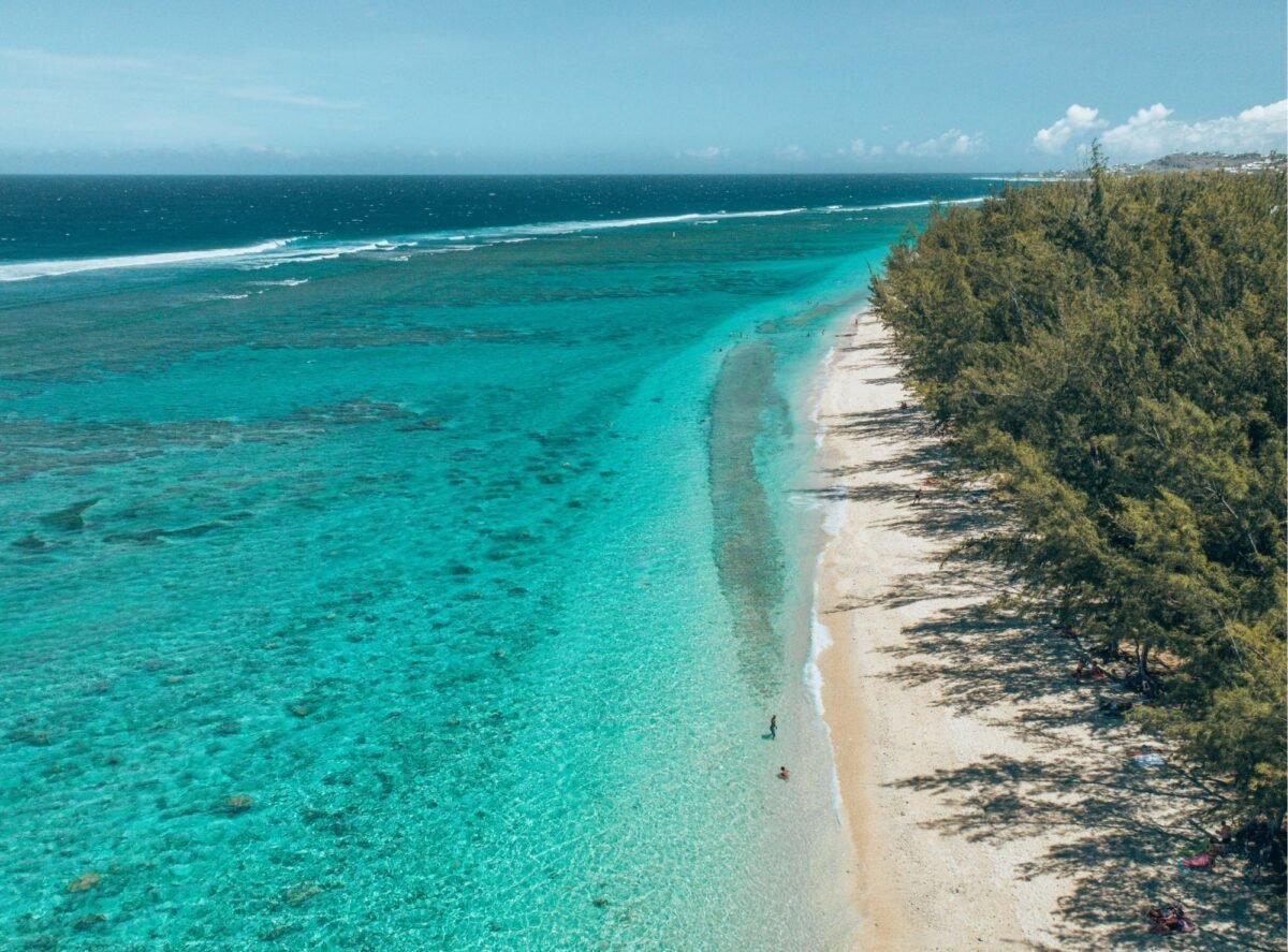 3b90f397-acdf-4f49-bad1-904dc39e5513