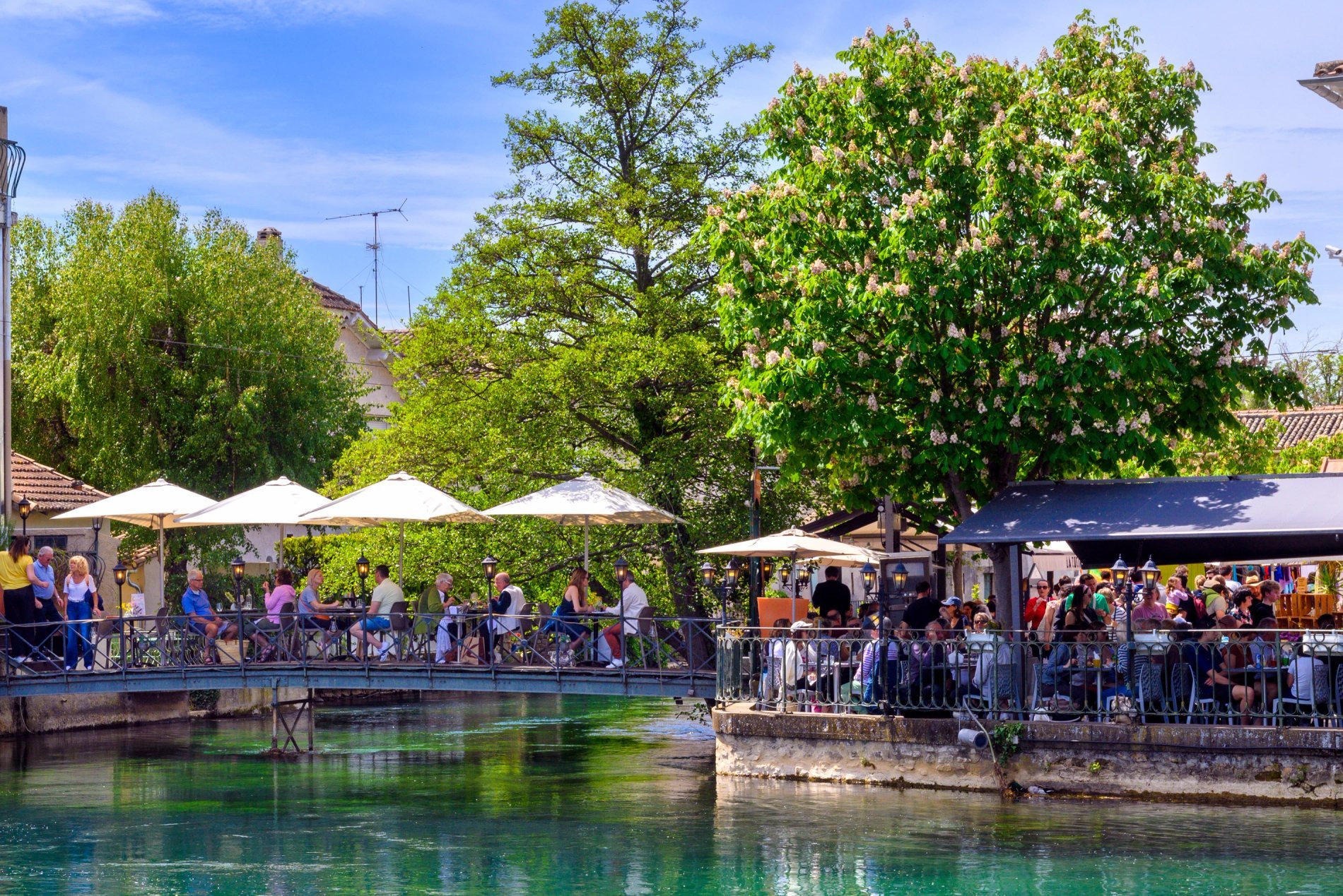 Terrasses animées en bord de Sorgue à L’Isle-sur-la-Sorgue