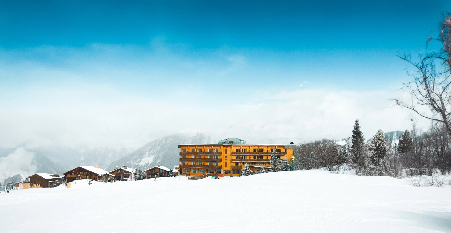 3c7879b6-b409-4fc3-83b5-56c568169c69