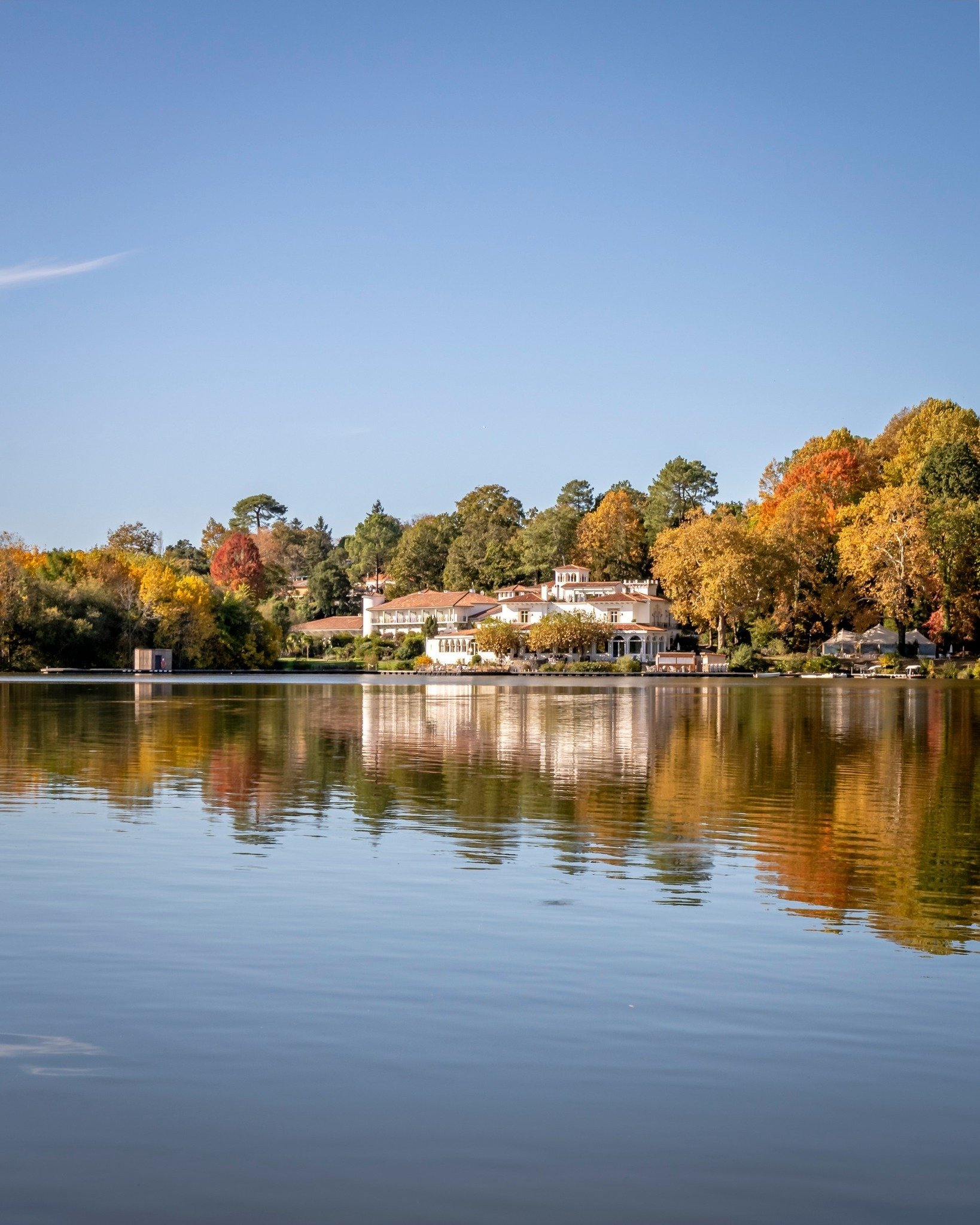 3c962e85-7584-4341-a50d-c8cfbc4694f4