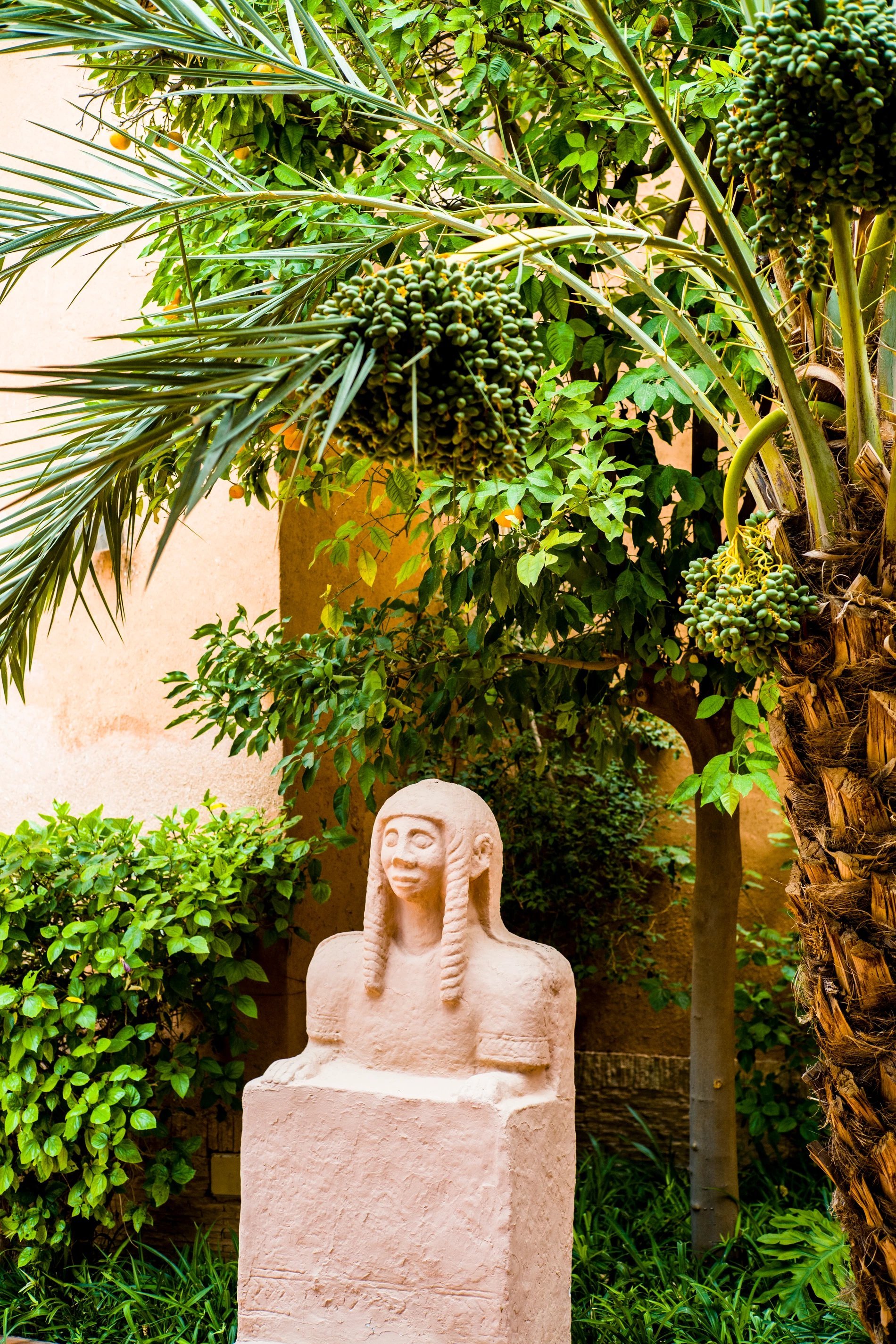 Le Berbère Palace, Jardin exotique verdoyant du Berbère Palace à Ouarzazate