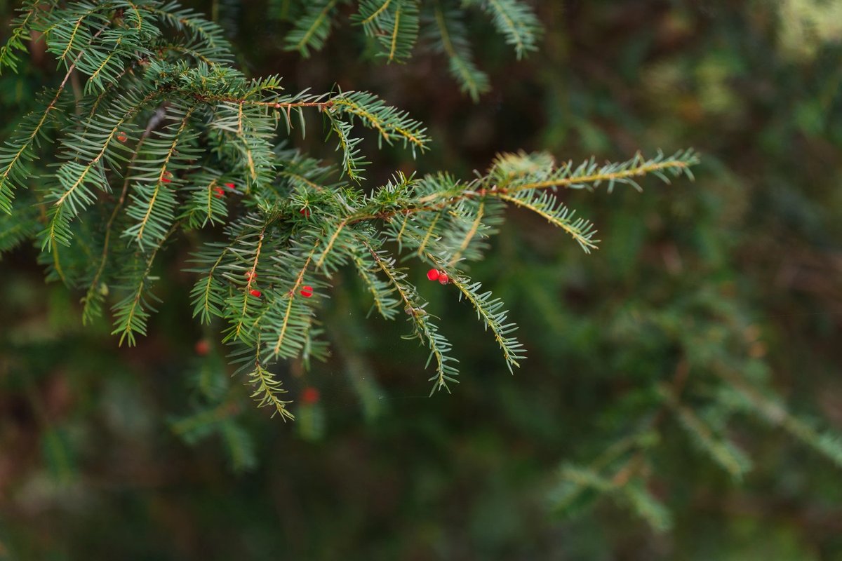 Le Parc, Le Parc | Séminaires
