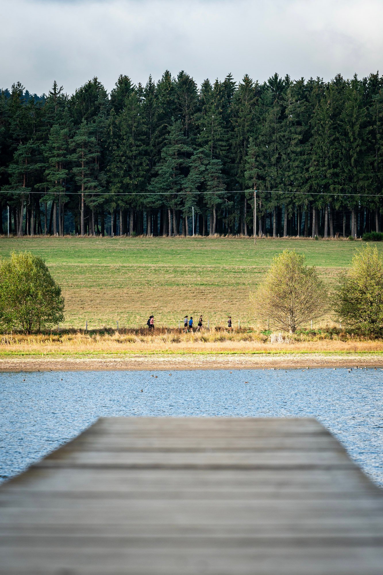 3d8b9321-f1f5-44e7-80c0-bed237a54acd