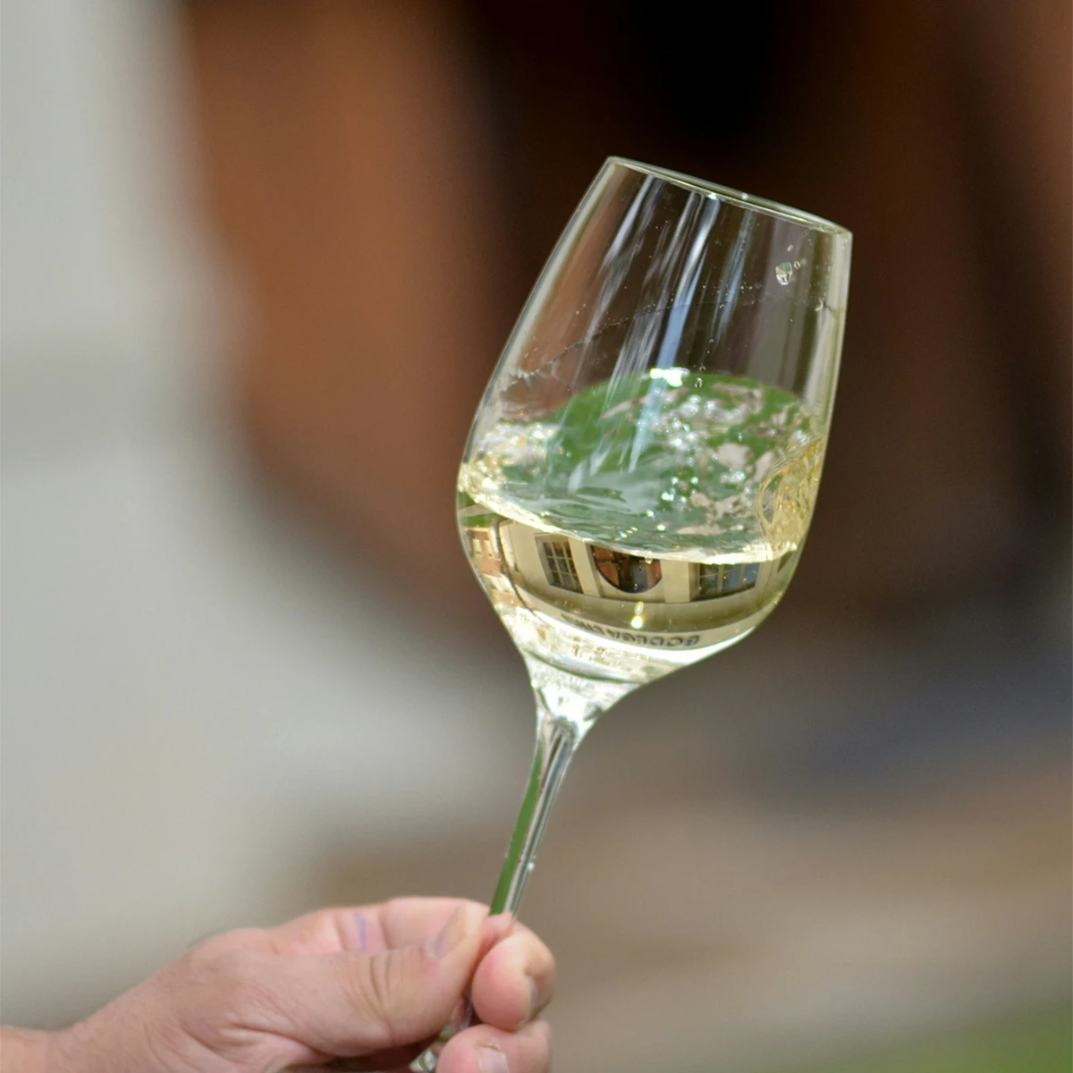 Maison Albar - Amoure, Maison Albar Amoure | Vinho Verde tasting