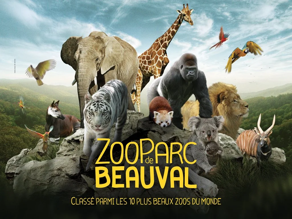 Break Hotel Vierzon | Tourism | à moins d'une heure du Zoo Parc de Beauval