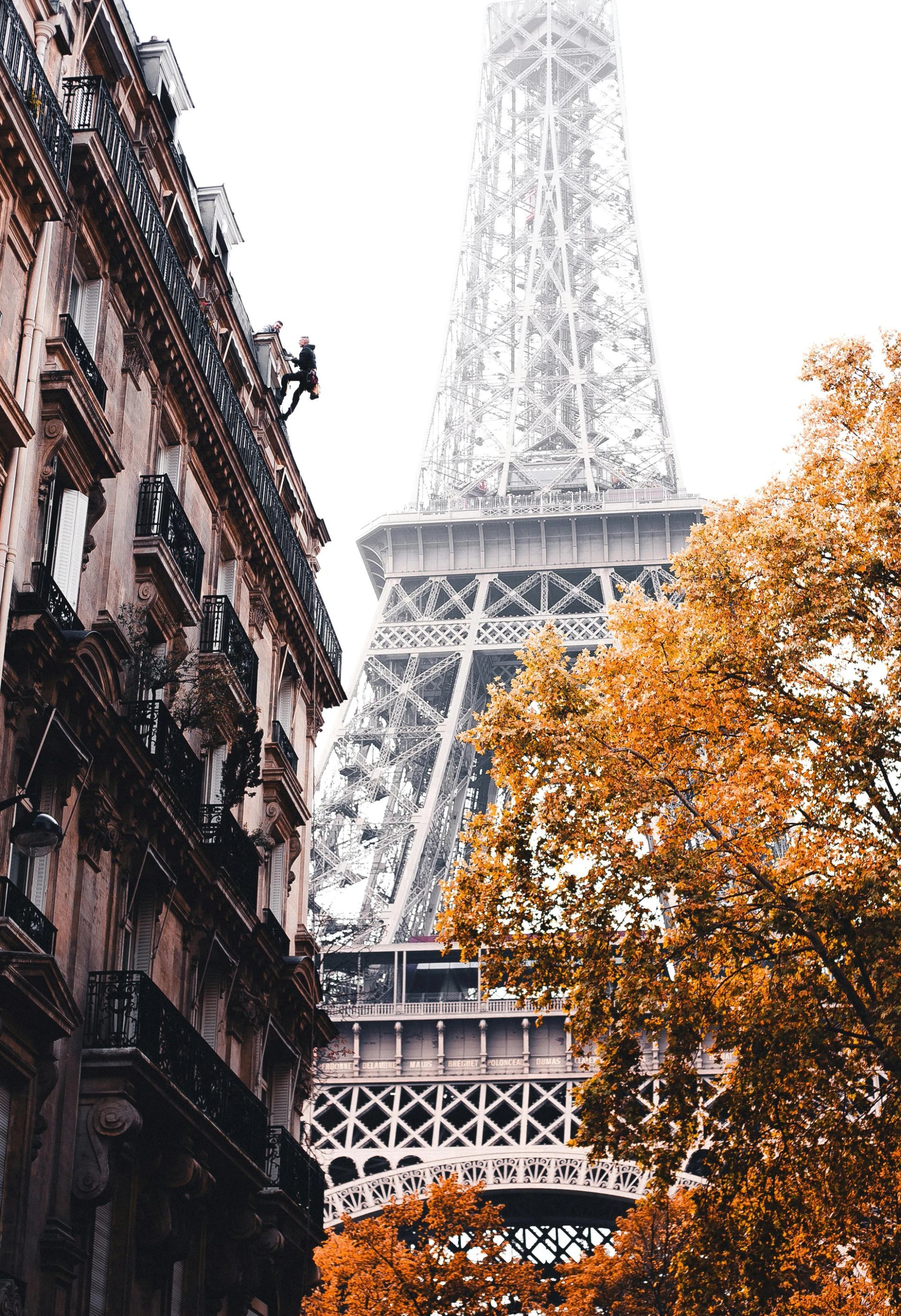 3e403e36-ebc4-4ba9-8ca4-9bddeebc911f