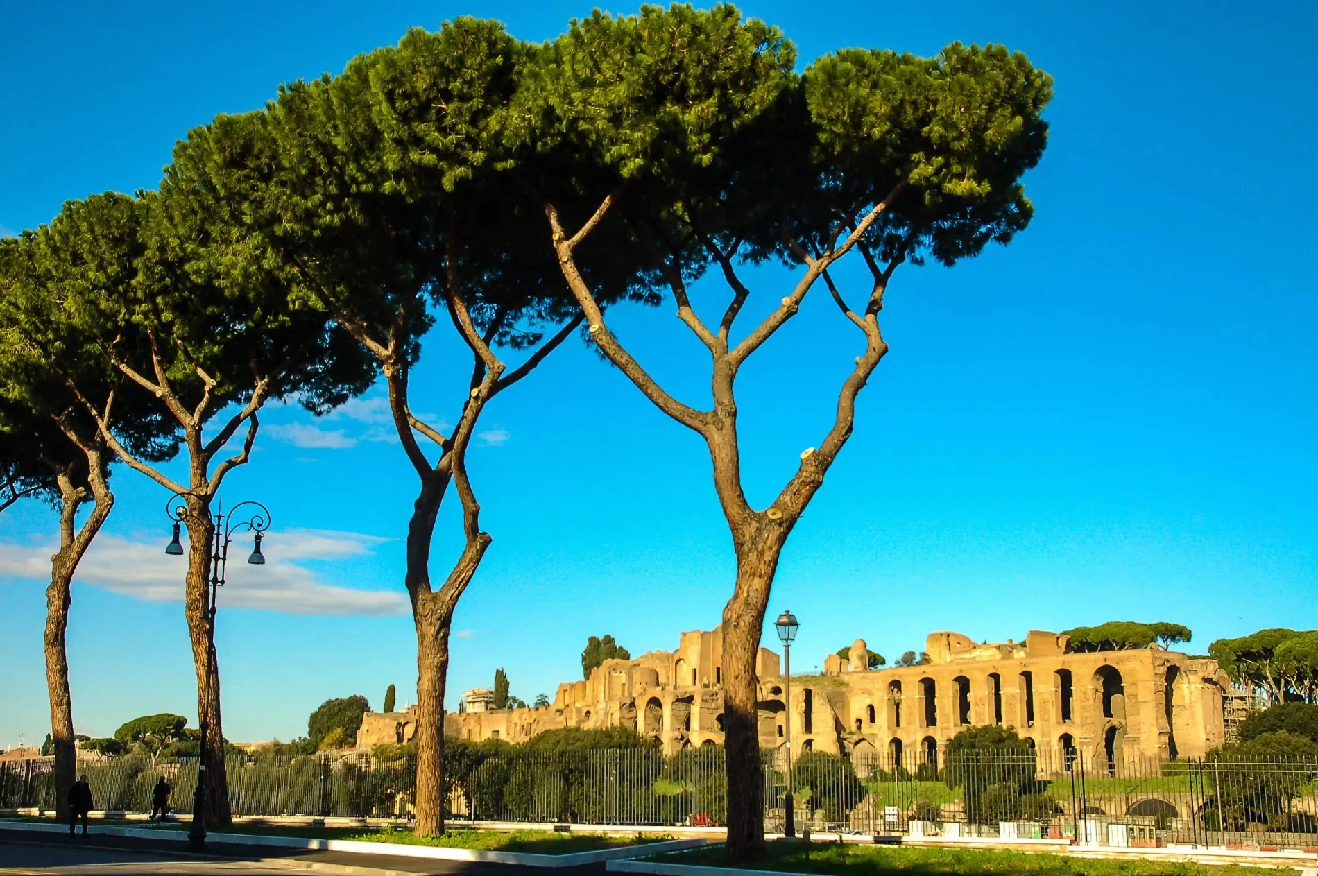 Hotel near Palatine Hill