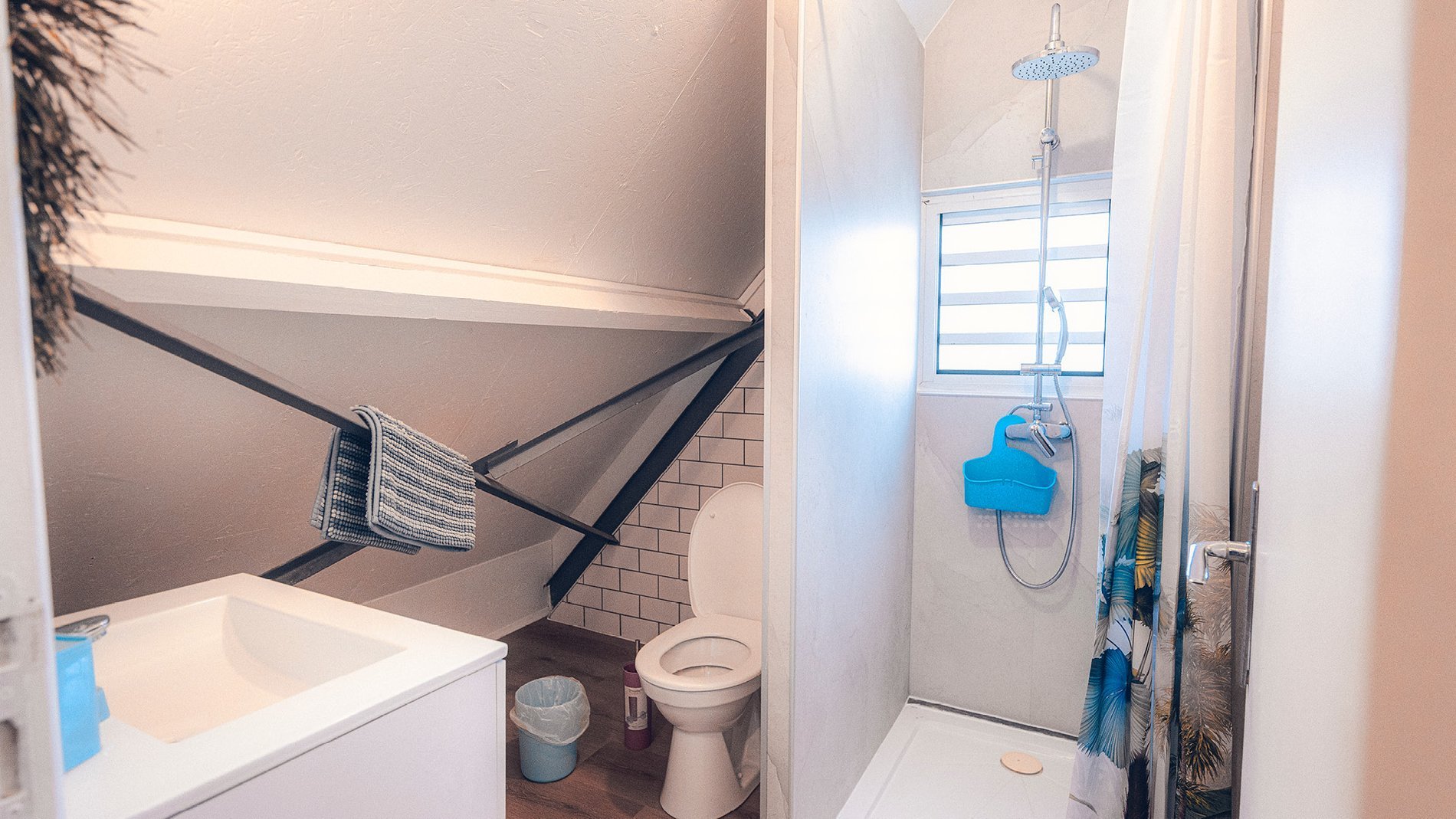 3e73b981-acd6-44f2-a122-bb80b21c8969