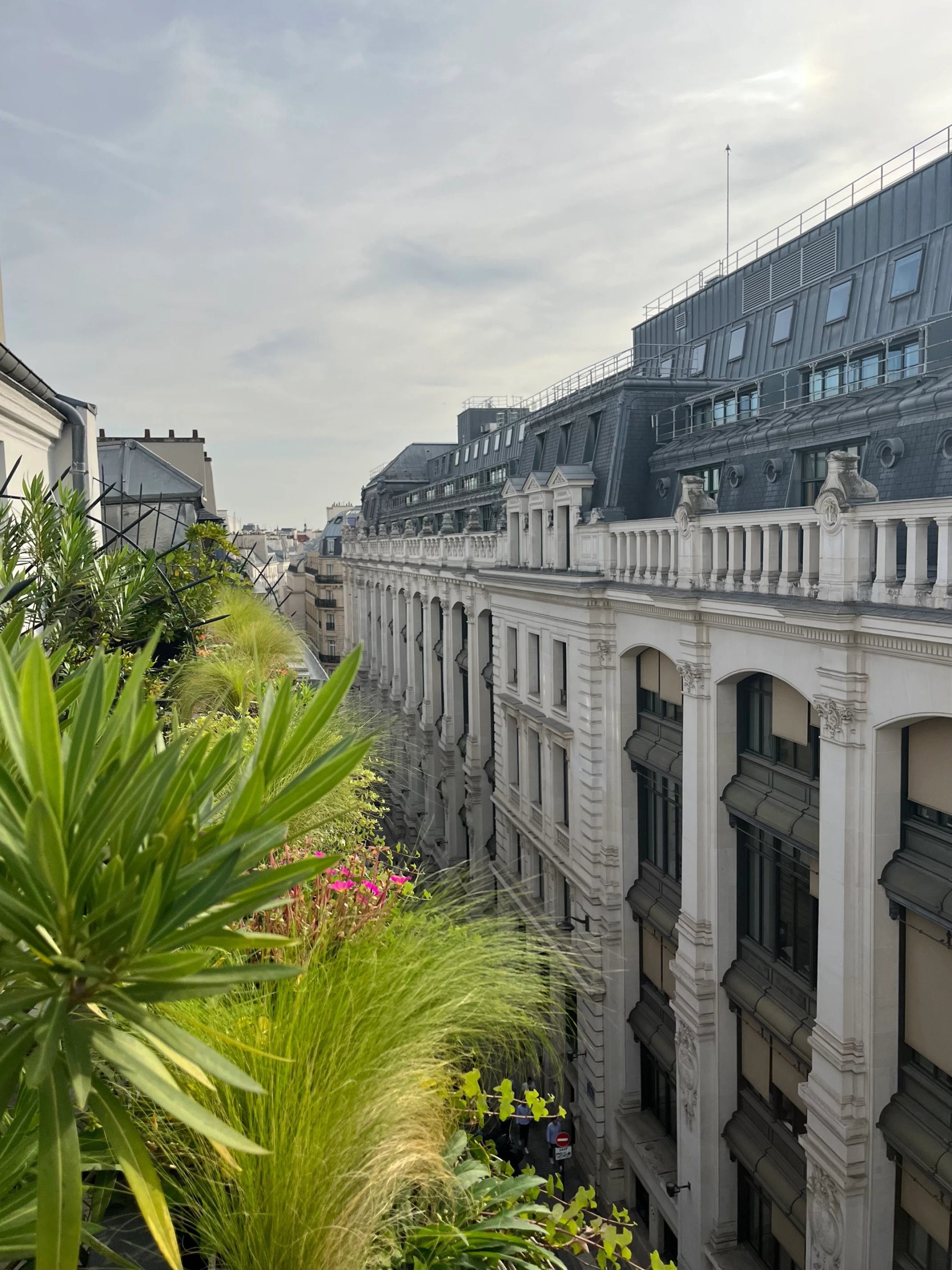 Die begrünten Terrassen der Superior-Zimmer im Hôtel Gramont