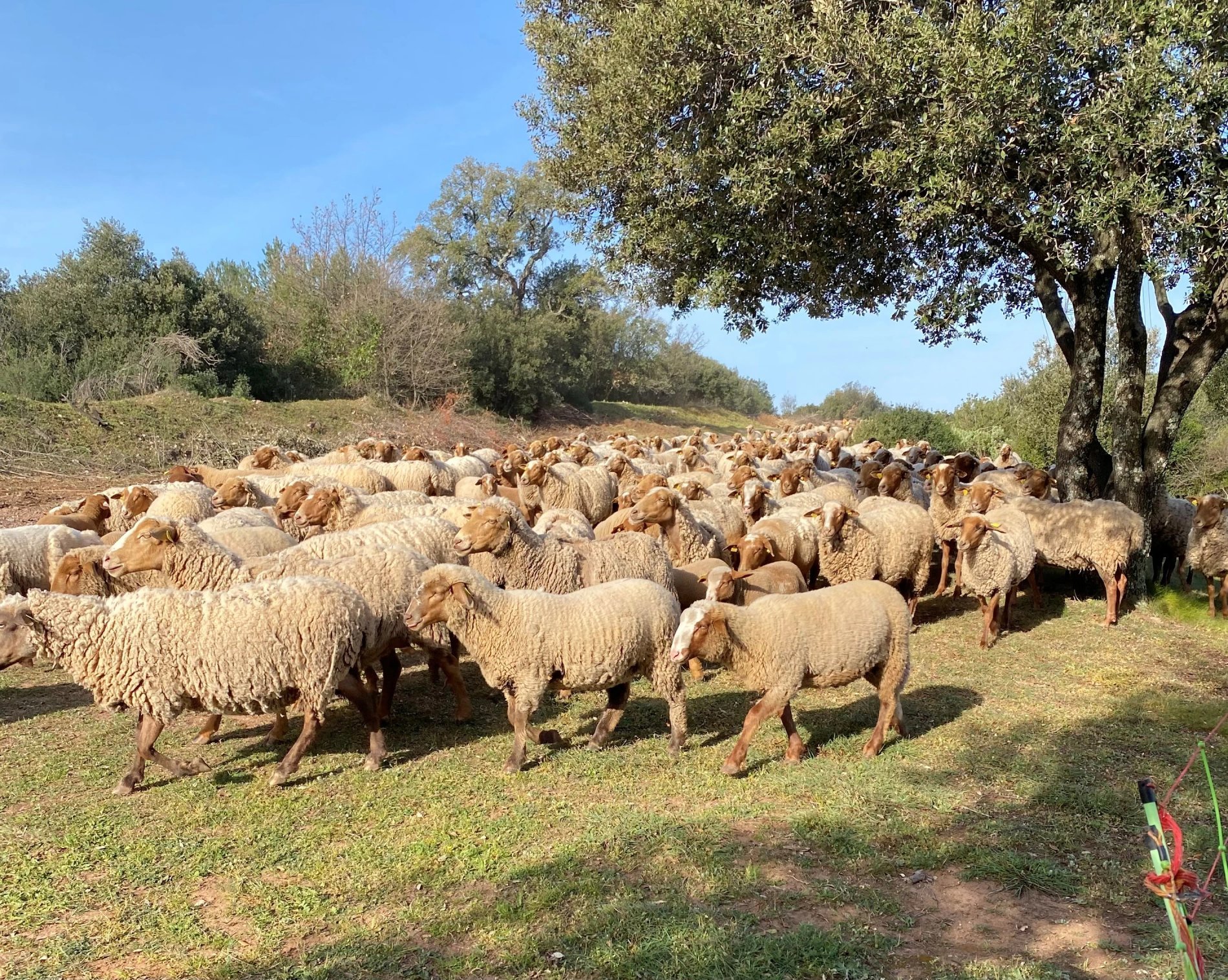 3eabb310-cbea-4c15-aa02-ad636ca989ee