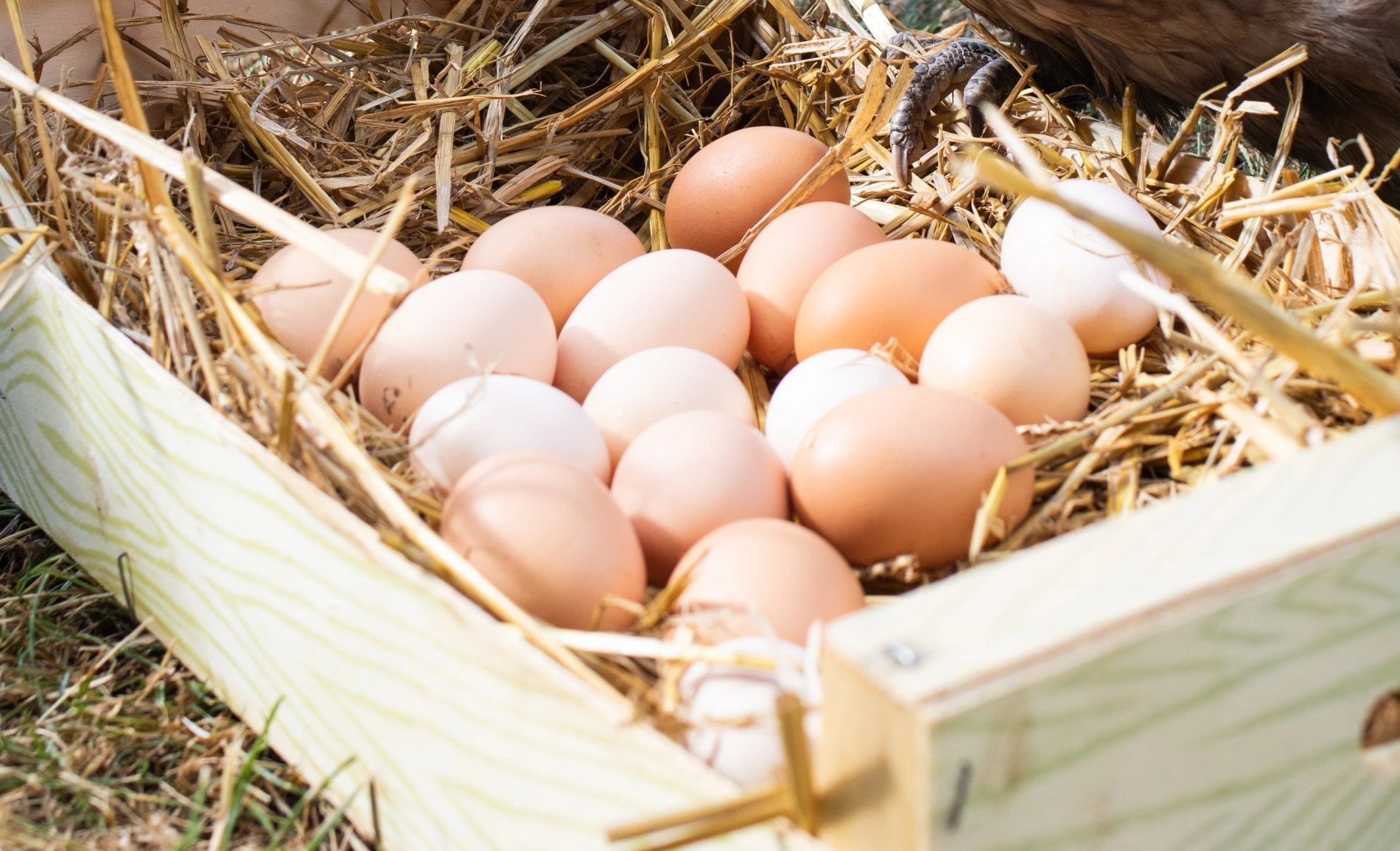 40a3f100-24c4-4feb-850a-ac9f263b4be3