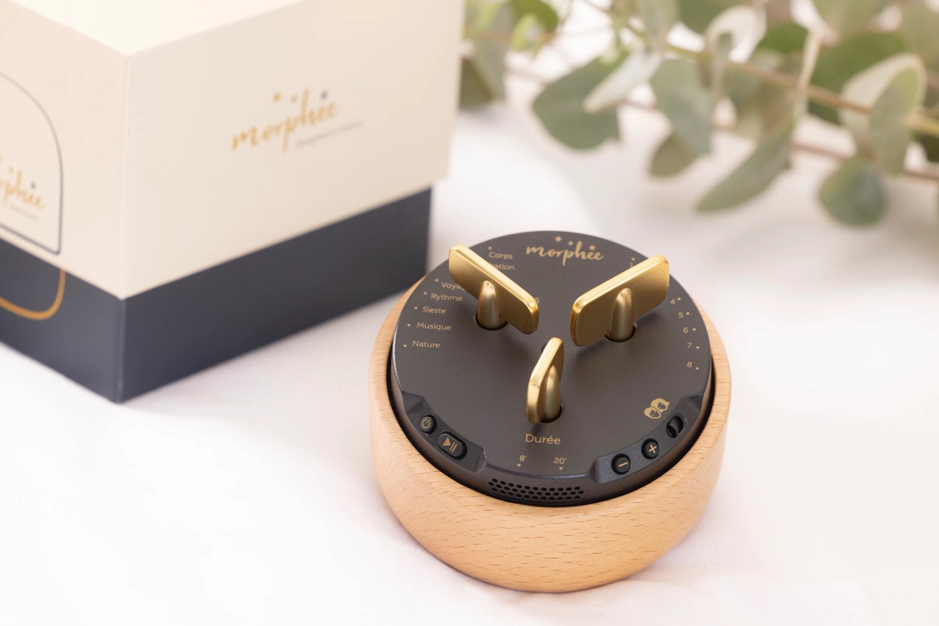 Hôtel Beige Extra Morphée